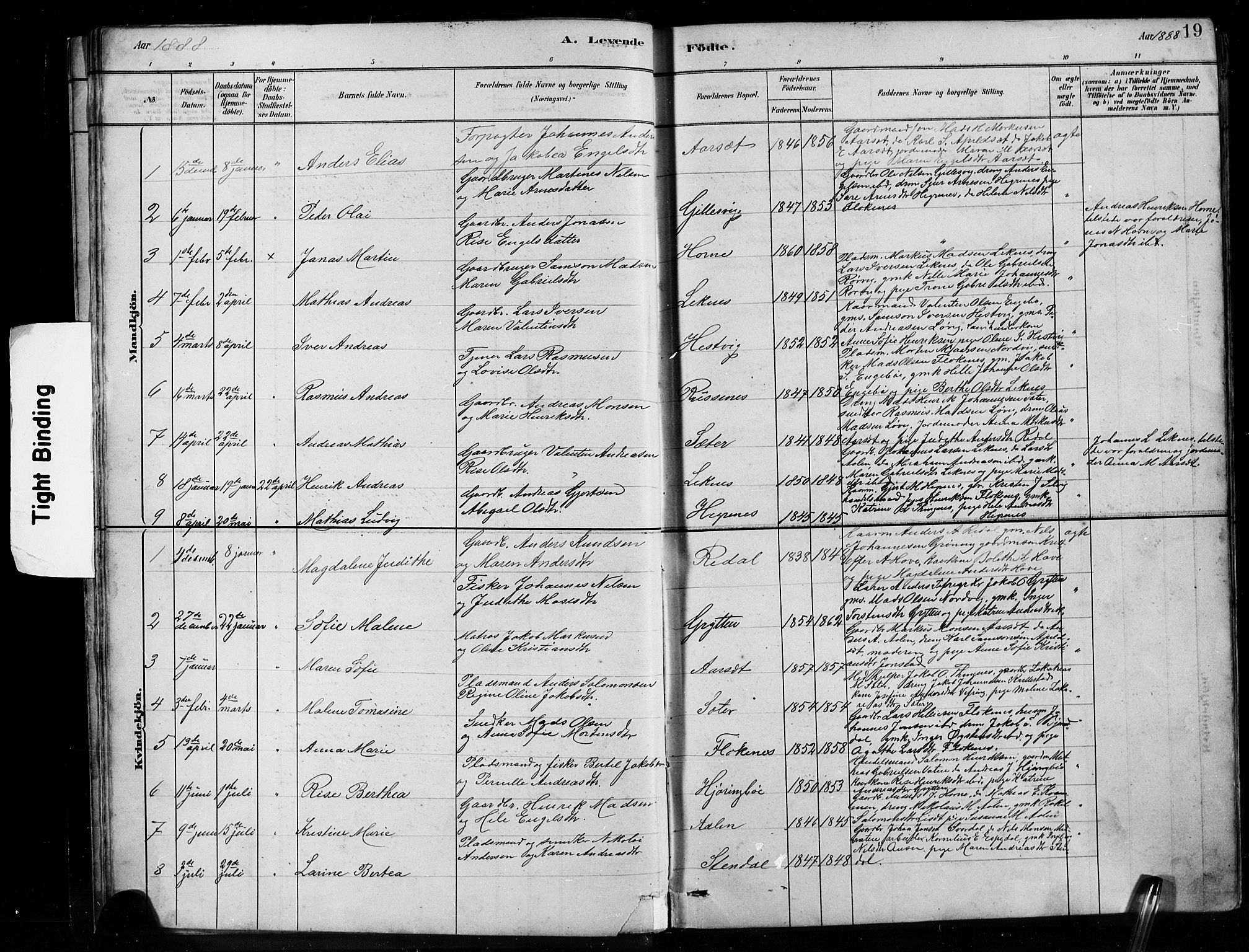 Førde sokneprestembete, SAB/A-79901/H/Hab/Habe/L0001: Parish register (copy) no. E 1, 1881-1920, p. 19