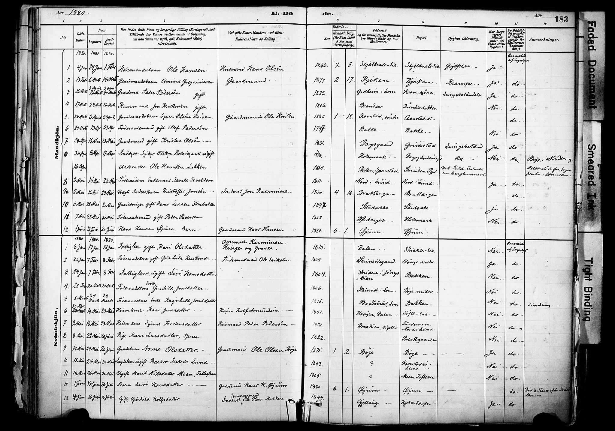 Skjåk prestekontor, SAH/PREST-072/H/Ha/Haa/L0003: Parish register (official) no. 3, 1880-1907, p. 183