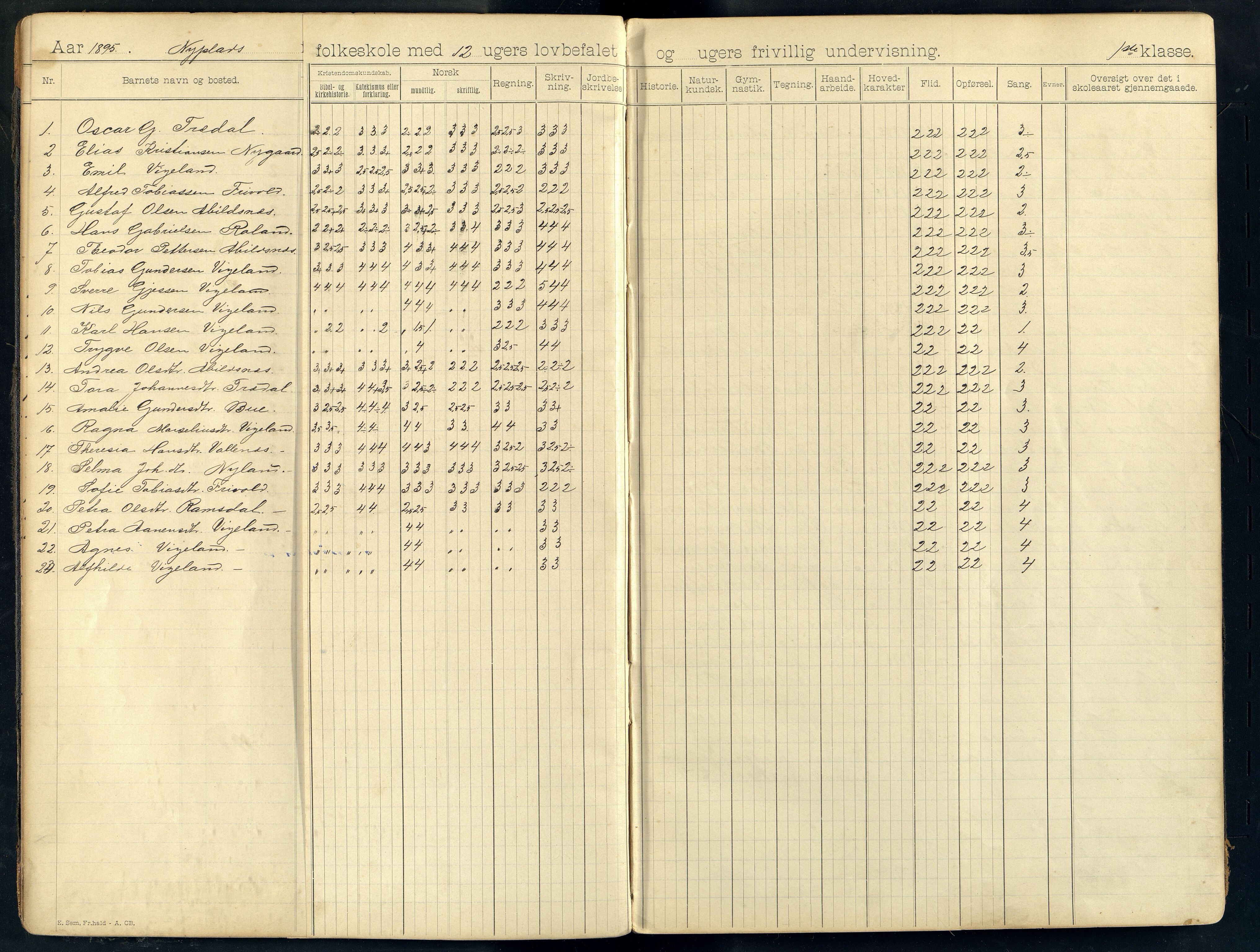 Sør-Audnedal kommune - Nyplass Skole, ARKSOR/1029SØ558/G/L0003: Skoleprotokoll, 1893-1908