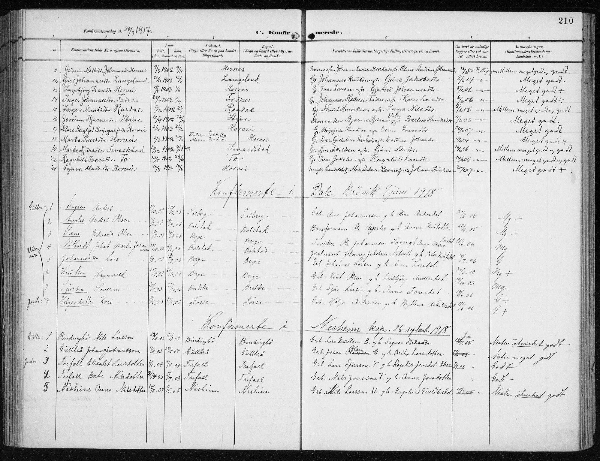 Evanger sokneprestembete, SAB/A-99924: Parish register (official) no. A  3, 1900-1930, p. 210