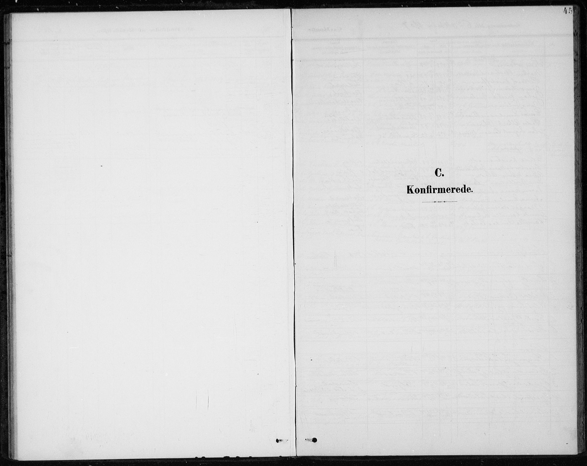 Botne kirkebøker, SAKO/A-340/F/Fb/L0002: Parish register (official) no. II 2, 1902-1915, p. 45