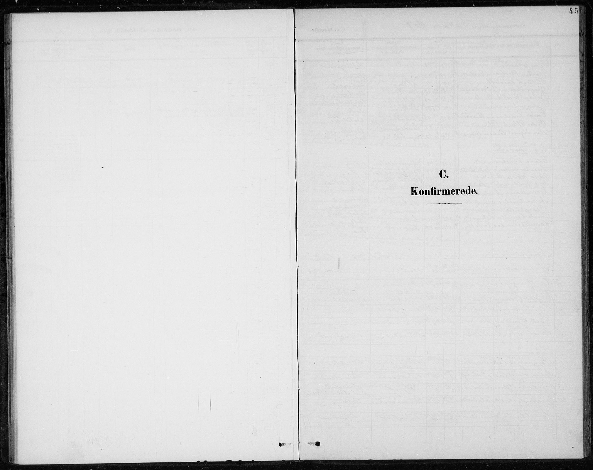 Botne kirkebøker, AV/SAKO-A-340/F/Fb/L0002: Parish register (official) no. II 2, 1902-1915, p. 45