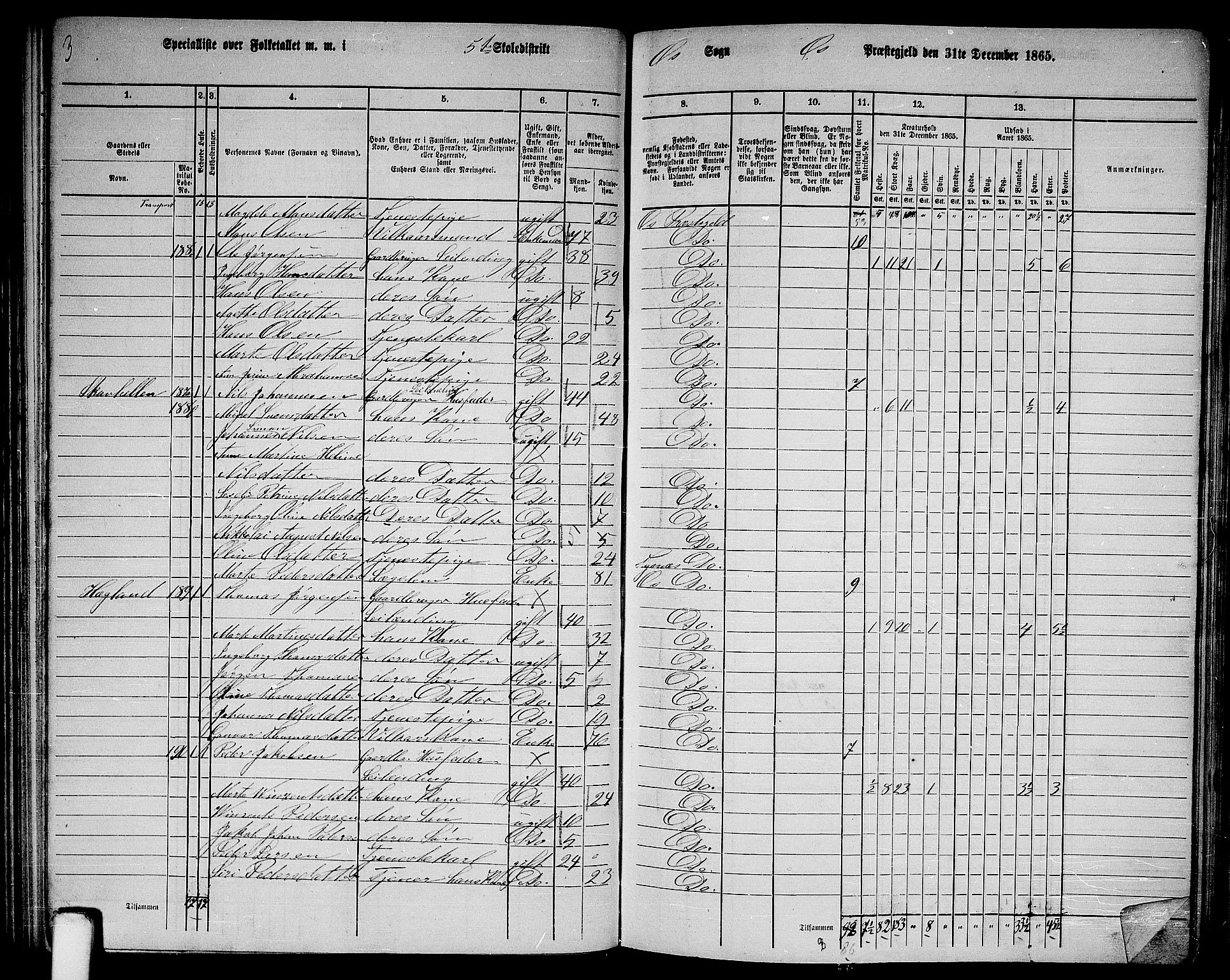 RA, 1865 census for Os, 1865, p. 89