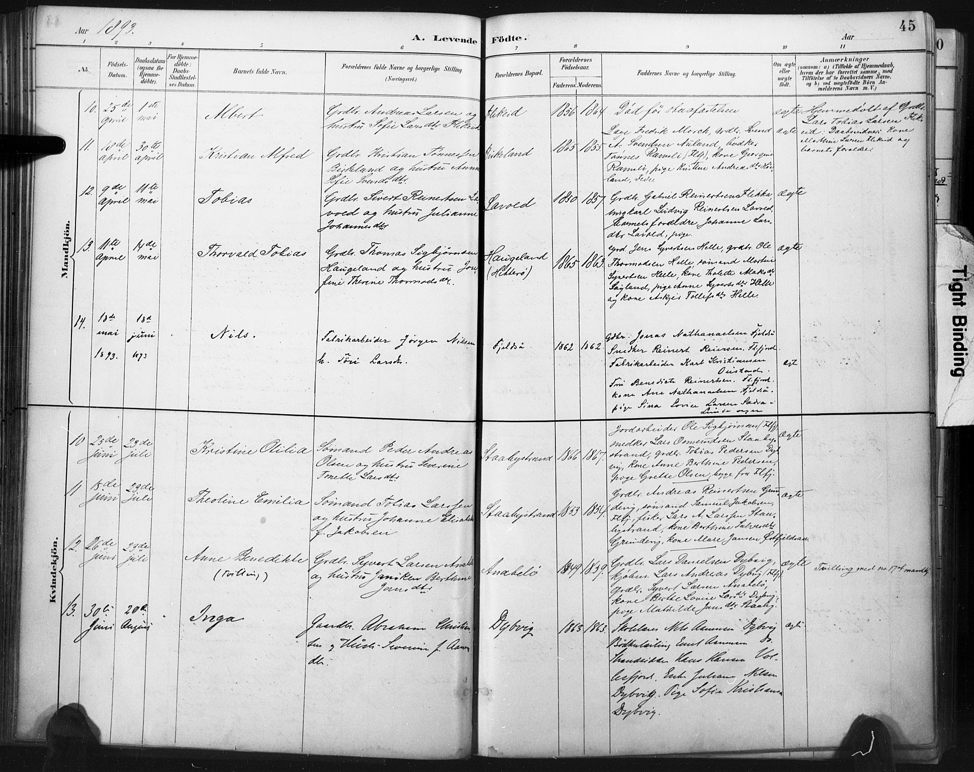 Flekkefjord sokneprestkontor, AV/SAK-1111-0012/F/Fa/Fac/L0008: Parish register (official) no. A 8, 1885-1898, p. 45