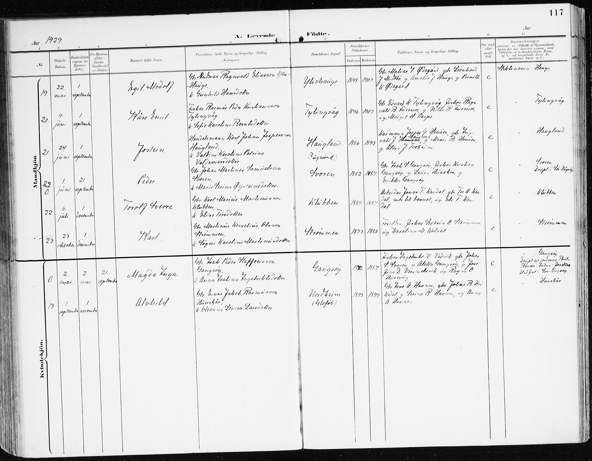 Davik sokneprestembete, AV/SAB-A-79701/H/Haa/Haad/L0002: Parish register (official) no. D 2, 1901-1930, p. 117