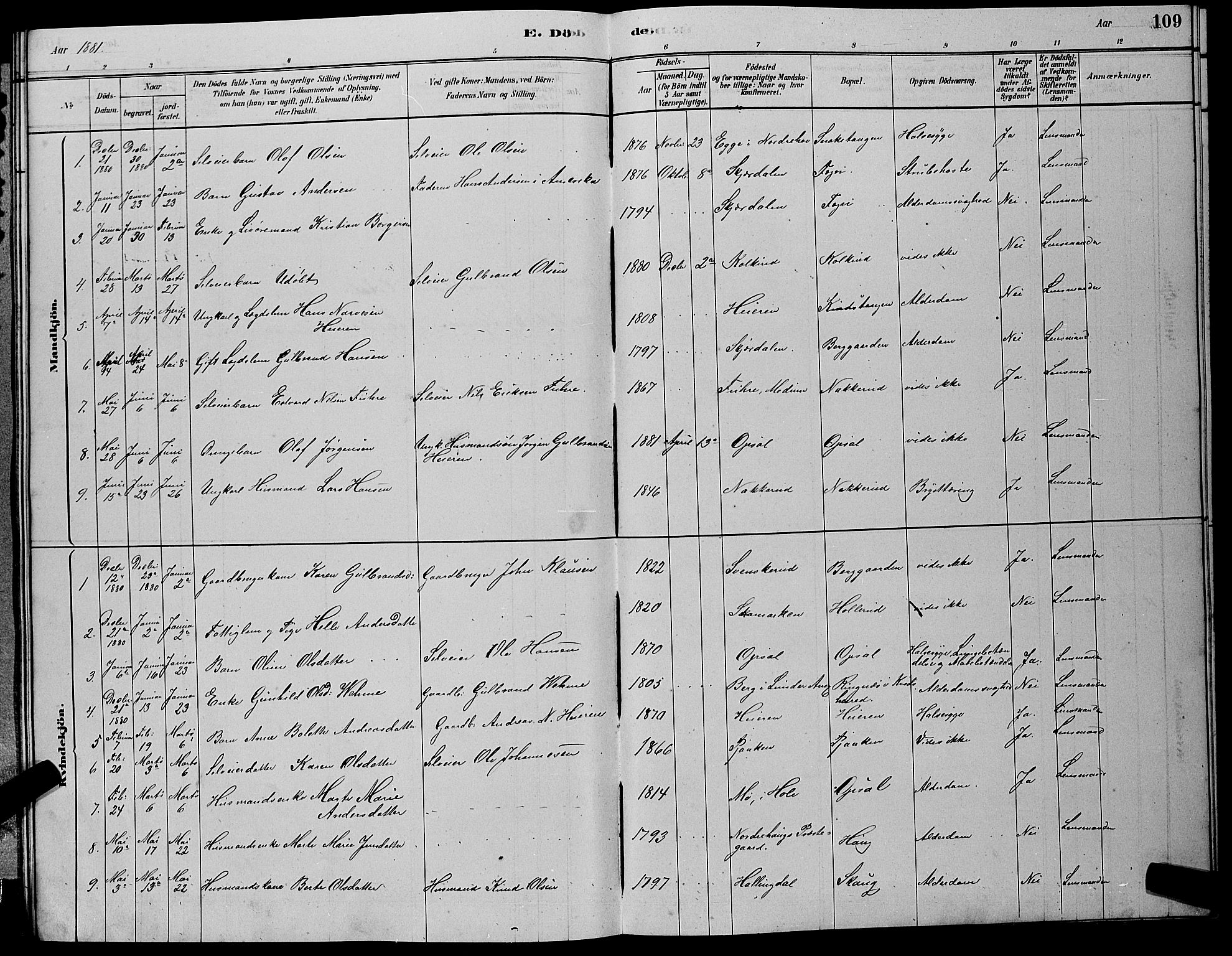 Hole kirkebøker, SAKO/A-228/G/Gb/L0002: Parish register (copy) no. II 2, 1878-1889, p. 109