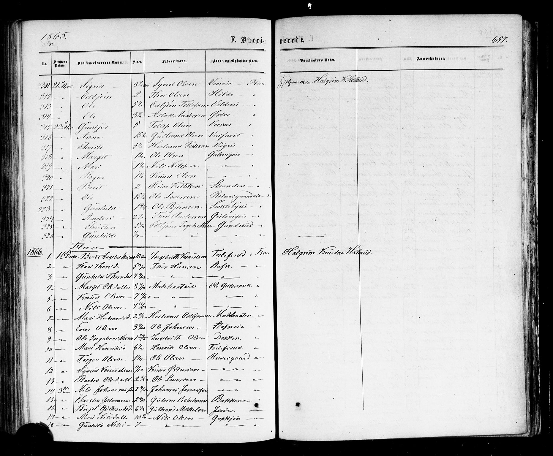 Nes kirkebøker, SAKO/A-236/F/Fa/L0010: Parish register (official) no. 10, 1864-1880, p. 657