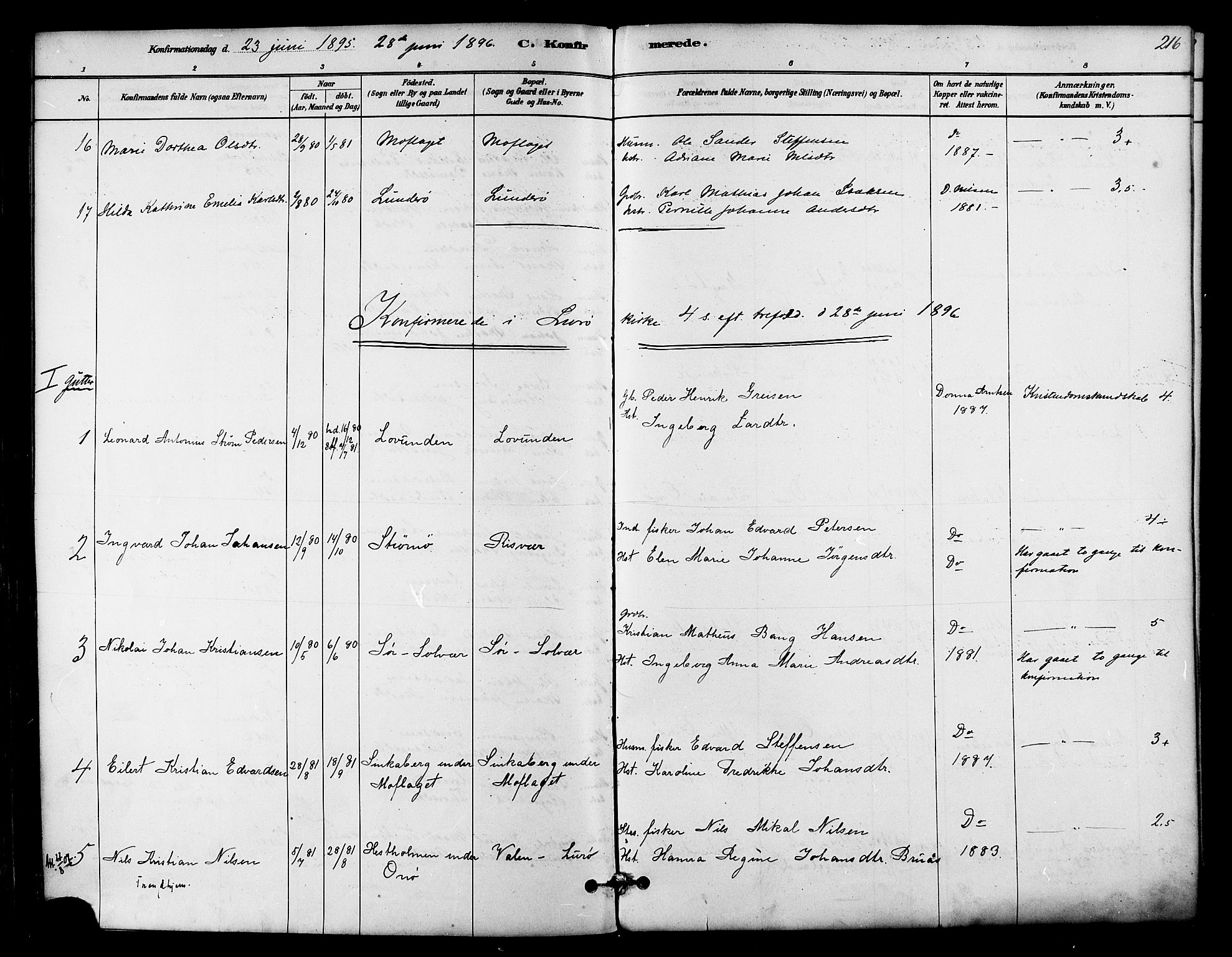 Ministerialprotokoller, klokkerbøker og fødselsregistre - Nordland, SAT/A-1459/839/L0568: Parish register (official) no. 839A05, 1880-1902, p. 216
