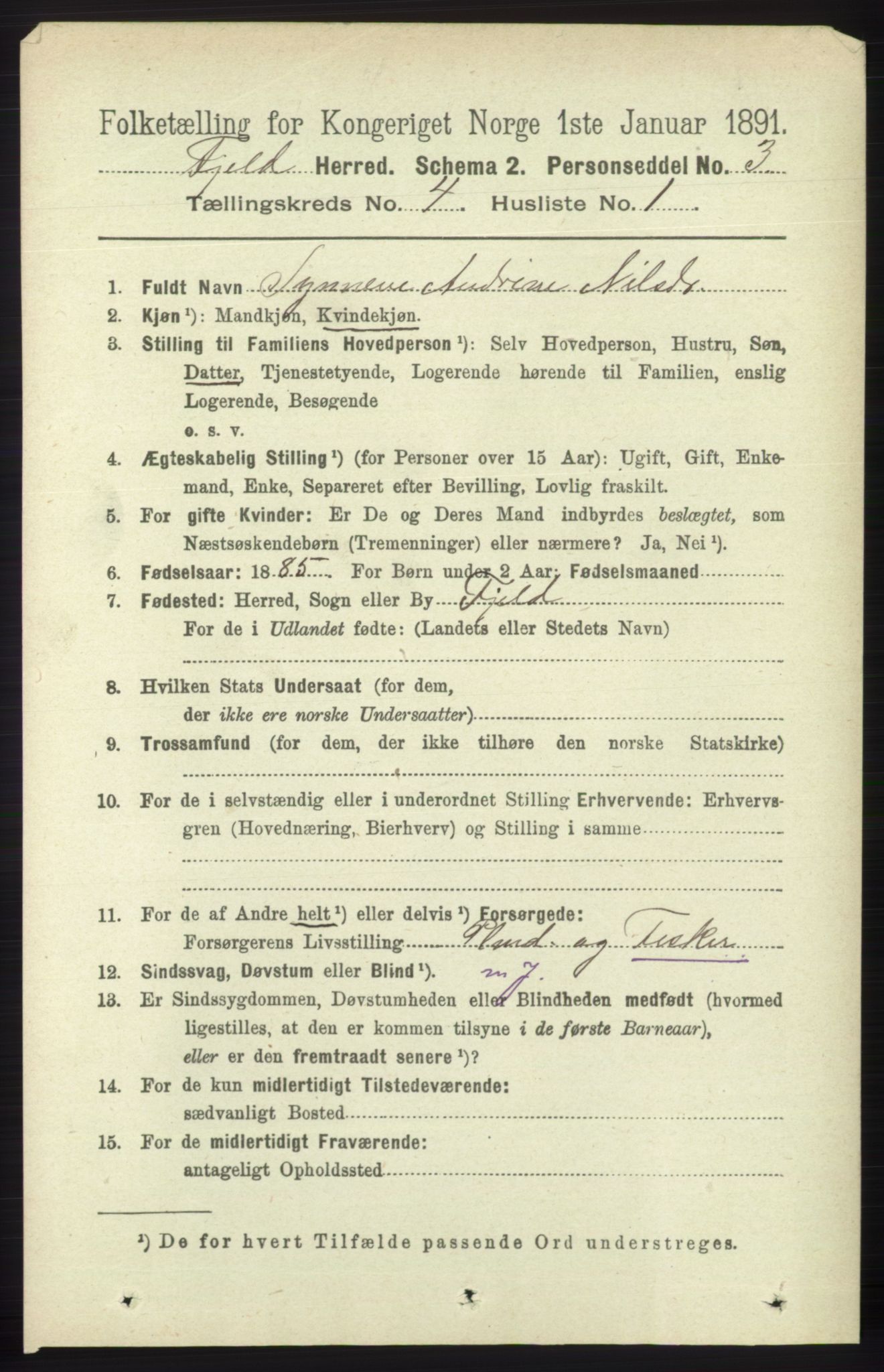 RA, 1891 census for 1246 Fjell, 1891, p. 2027