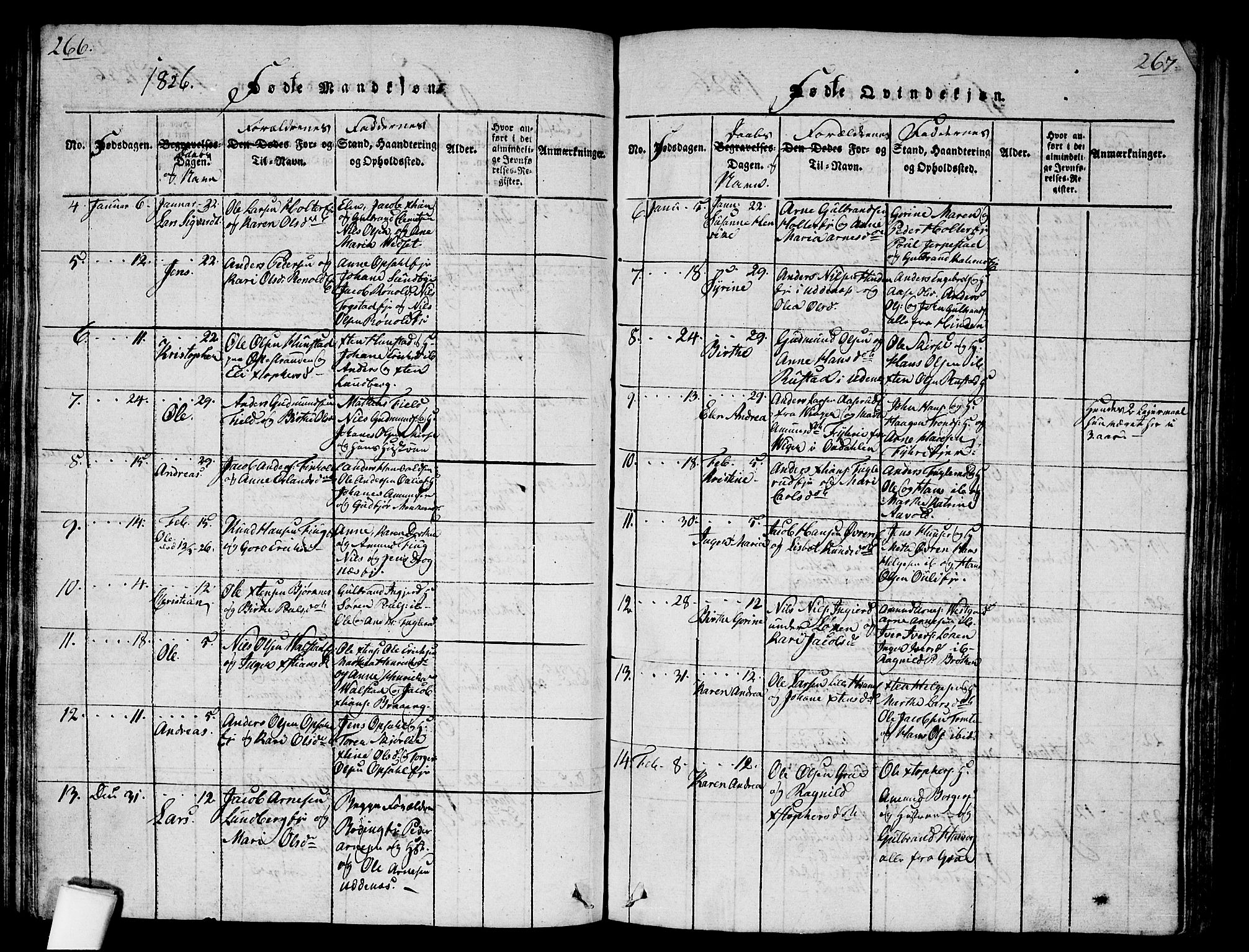 Nes prestekontor Kirkebøker, AV/SAO-A-10410/G/Ga/L0001: Parish register (copy) no. I 1, 1815-1835, p. 266-267