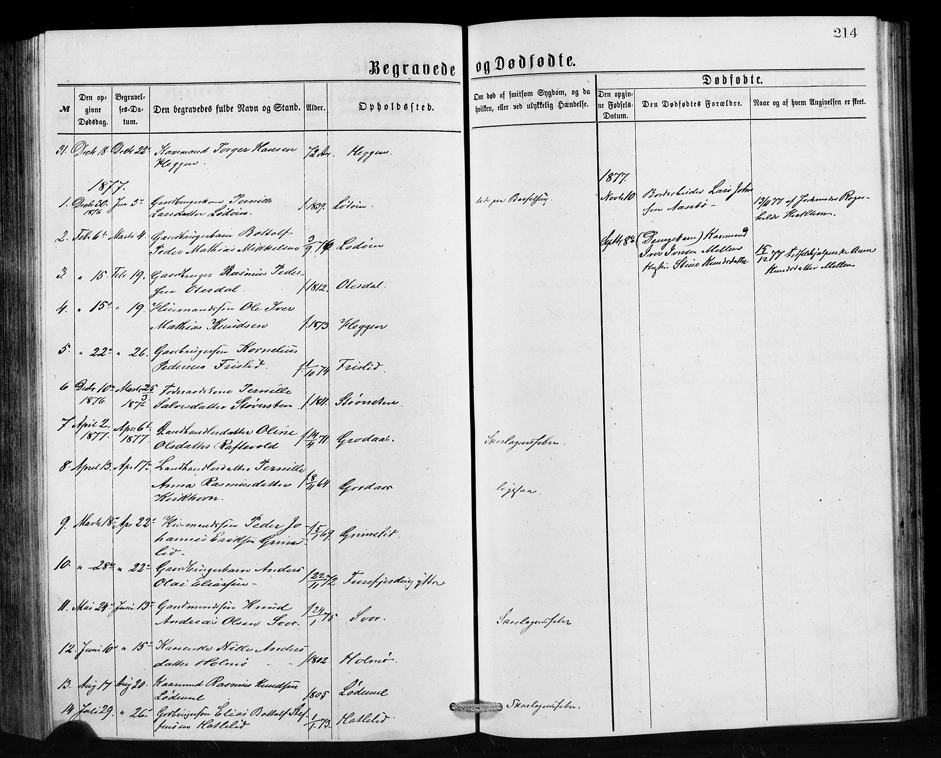 Hornindal sokneprestembete, SAB/A-82401/H/Hab: Parish register (copy) no. A 1, 1876-1894, p. 214