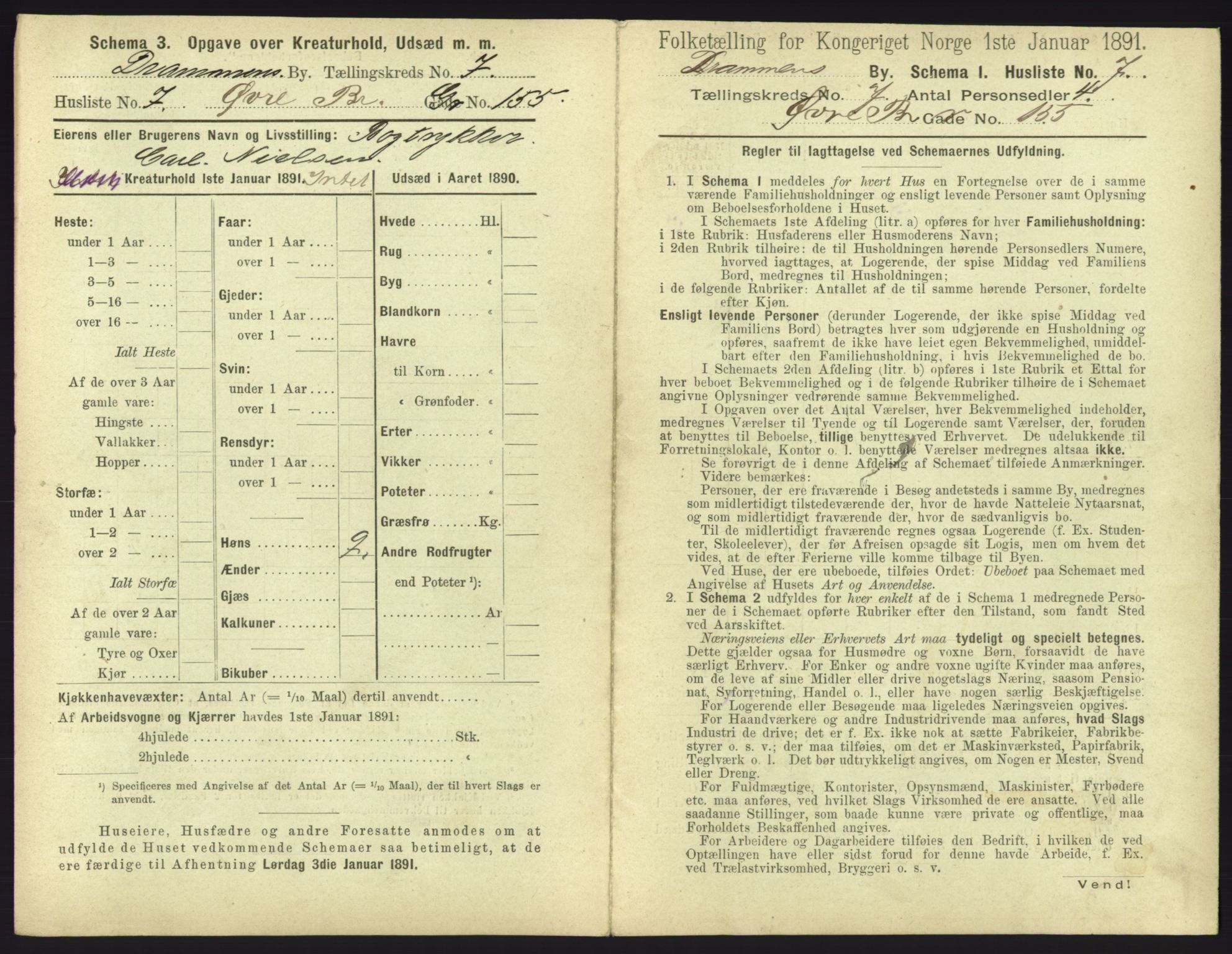 RA, 1891 census for 0602 Drammen, 1891, p. 591