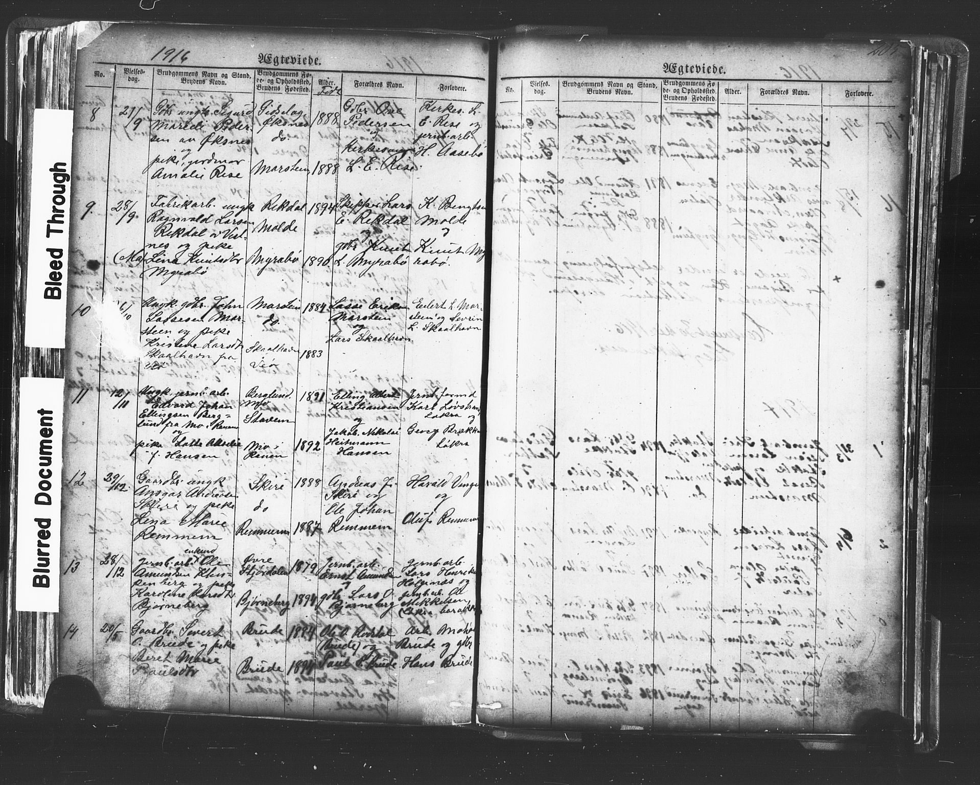 Ministerialprotokoller, klokkerbøker og fødselsregistre - Møre og Romsdal, AV/SAT-A-1454/546/L0596: Parish register (copy) no. 546C02, 1867-1921, p. 205