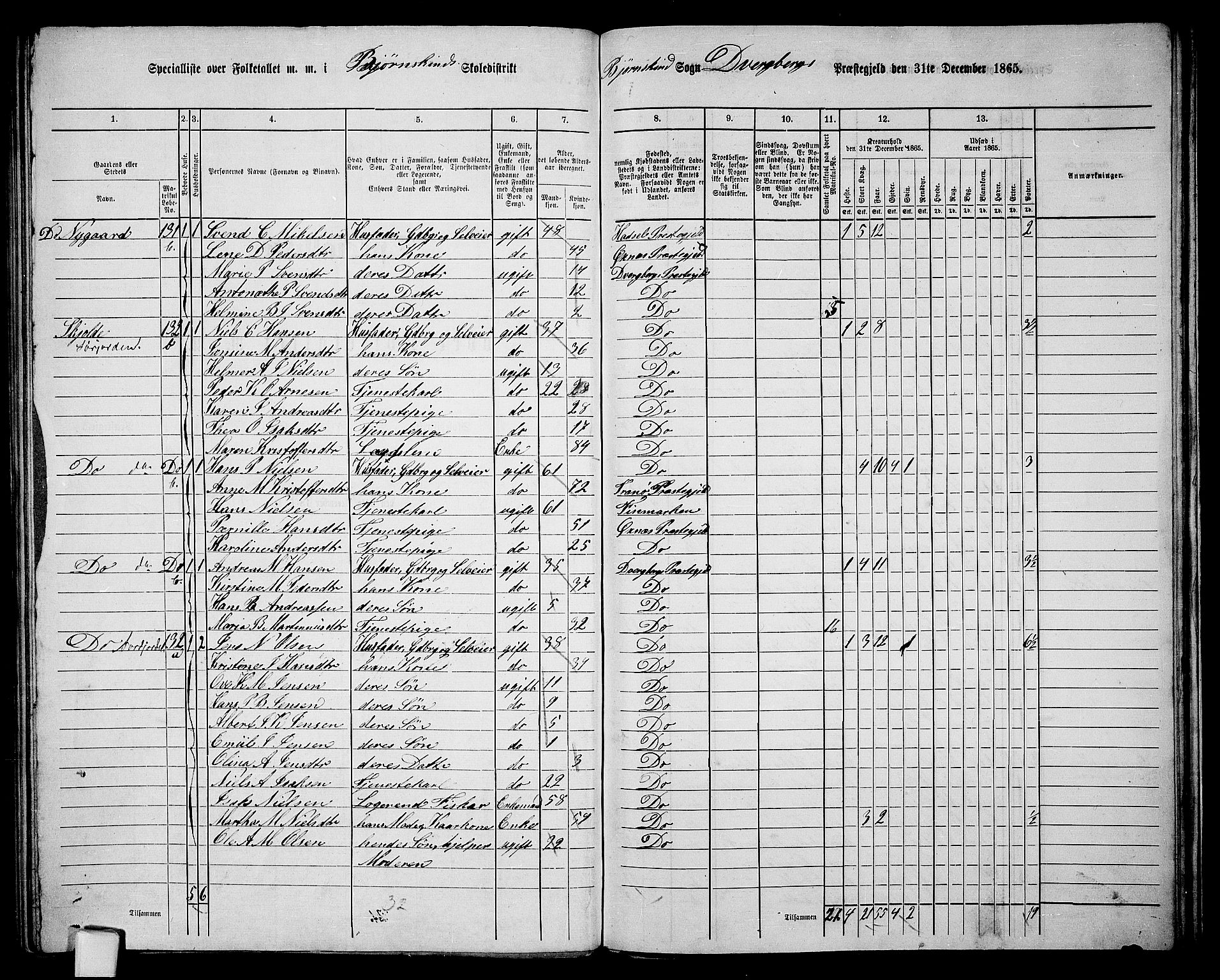 RA, 1865 census for Dverberg, 1865, p. 51