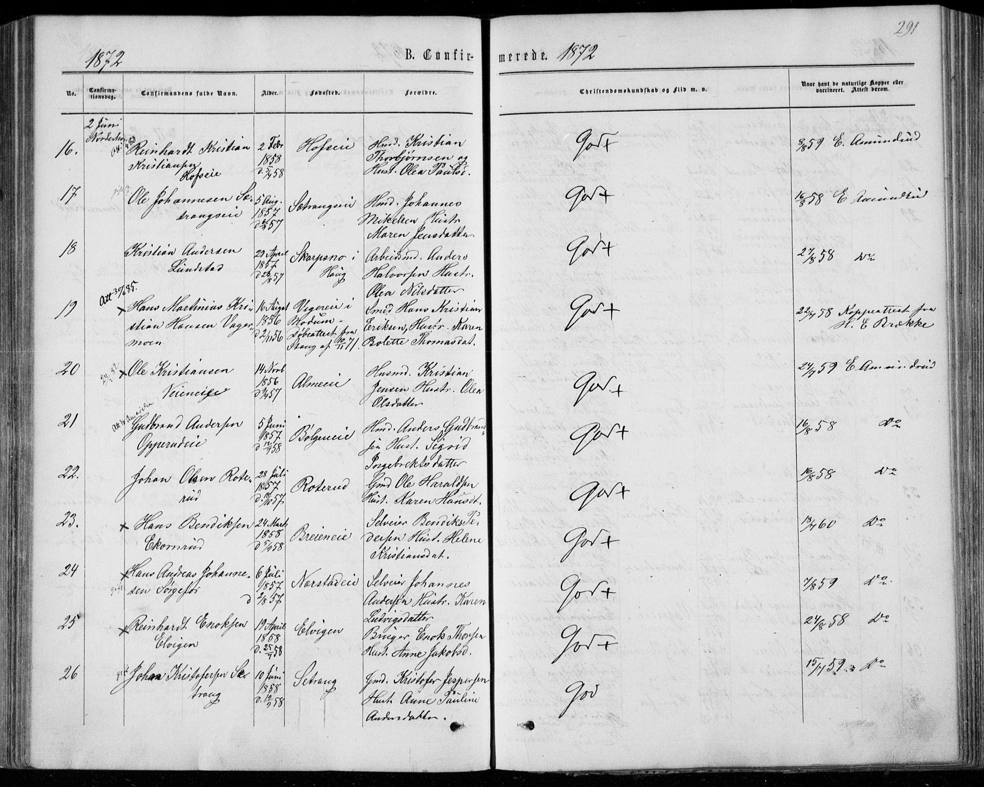 Norderhov kirkebøker, AV/SAKO-A-237/F/Fa/L0013: Parish register (official) no. 13, 1866-1874, p. 291