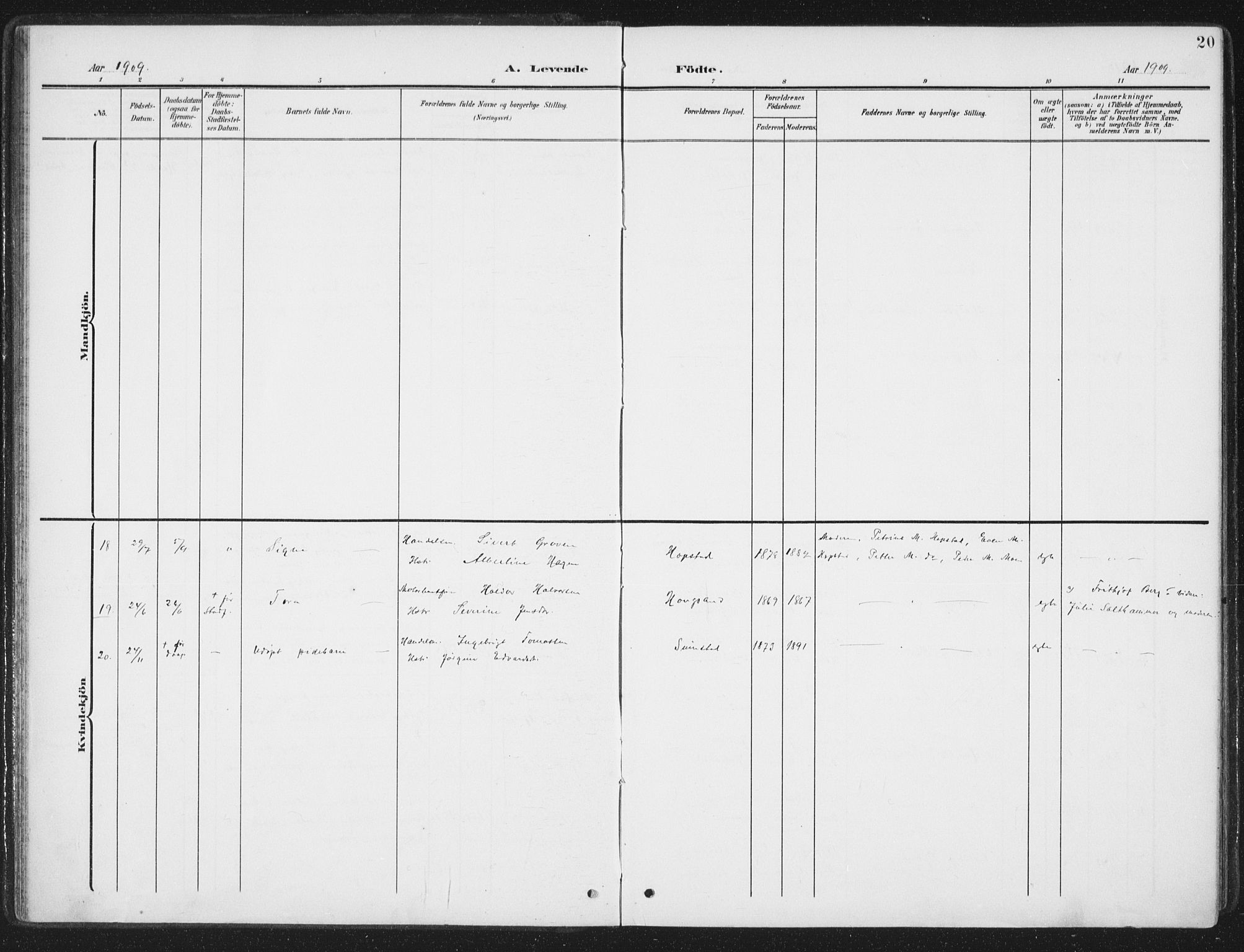 Ministerialprotokoller, klokkerbøker og fødselsregistre - Sør-Trøndelag, SAT/A-1456/657/L0709: Parish register (official) no. 657A10, 1905-1919, p. 20