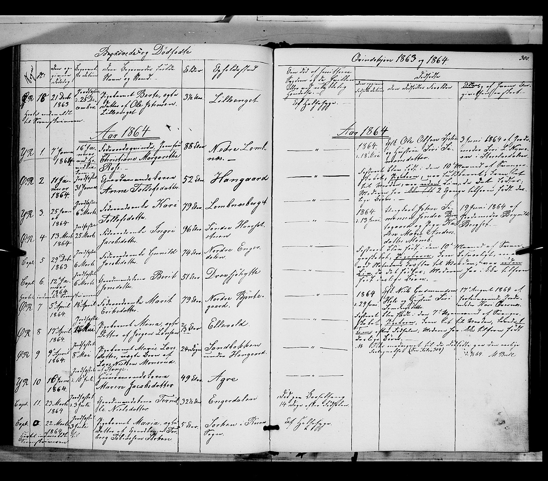 Rendalen prestekontor, SAH/PREST-054/H/Ha/Haa/L0005: Parish register (official) no. 5, 1853-1866, p. 300
