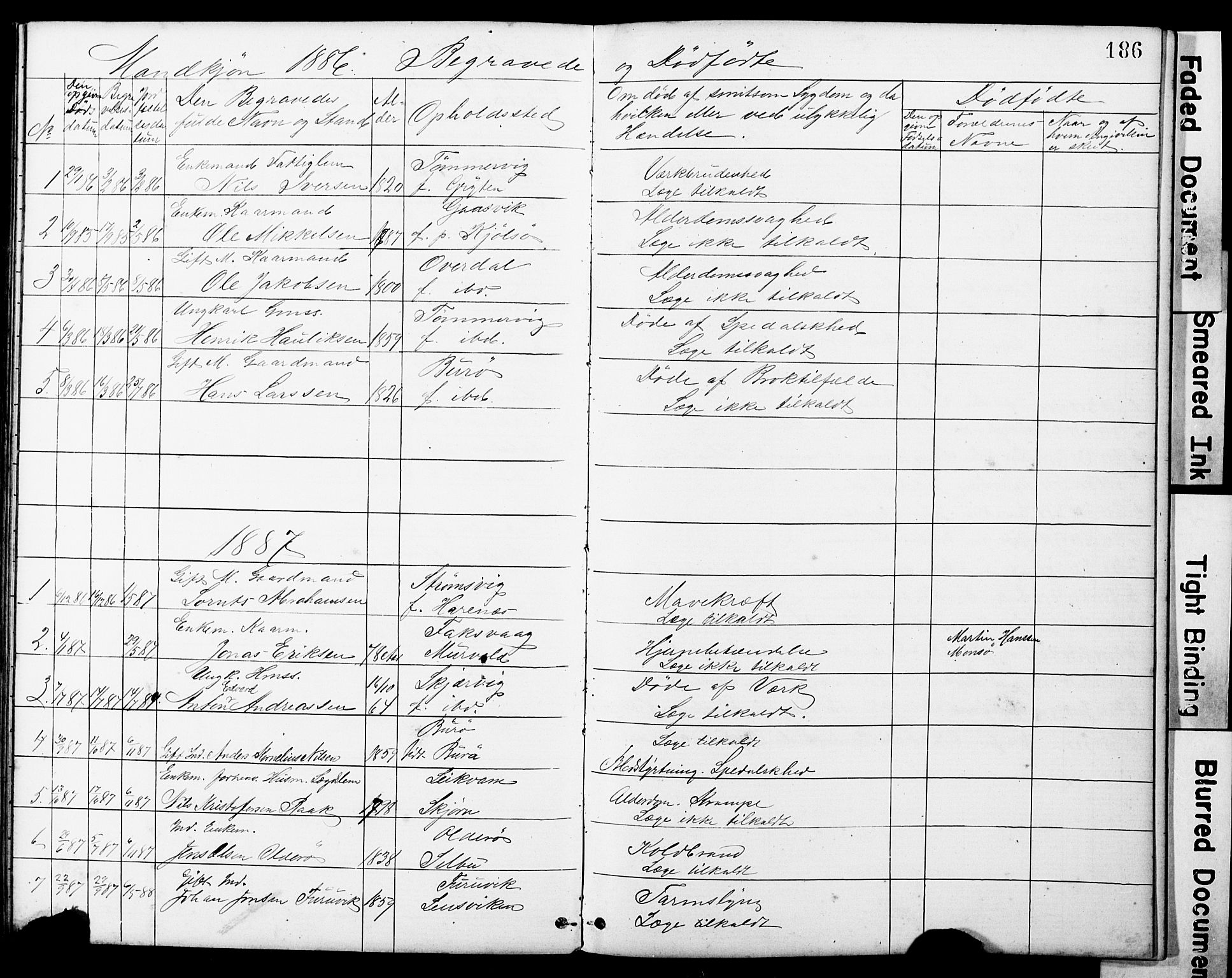 Ministerialprotokoller, klokkerbøker og fødselsregistre - Sør-Trøndelag, AV/SAT-A-1456/634/L0541: Parish register (copy) no. 634C03, 1874-1891, p. 186