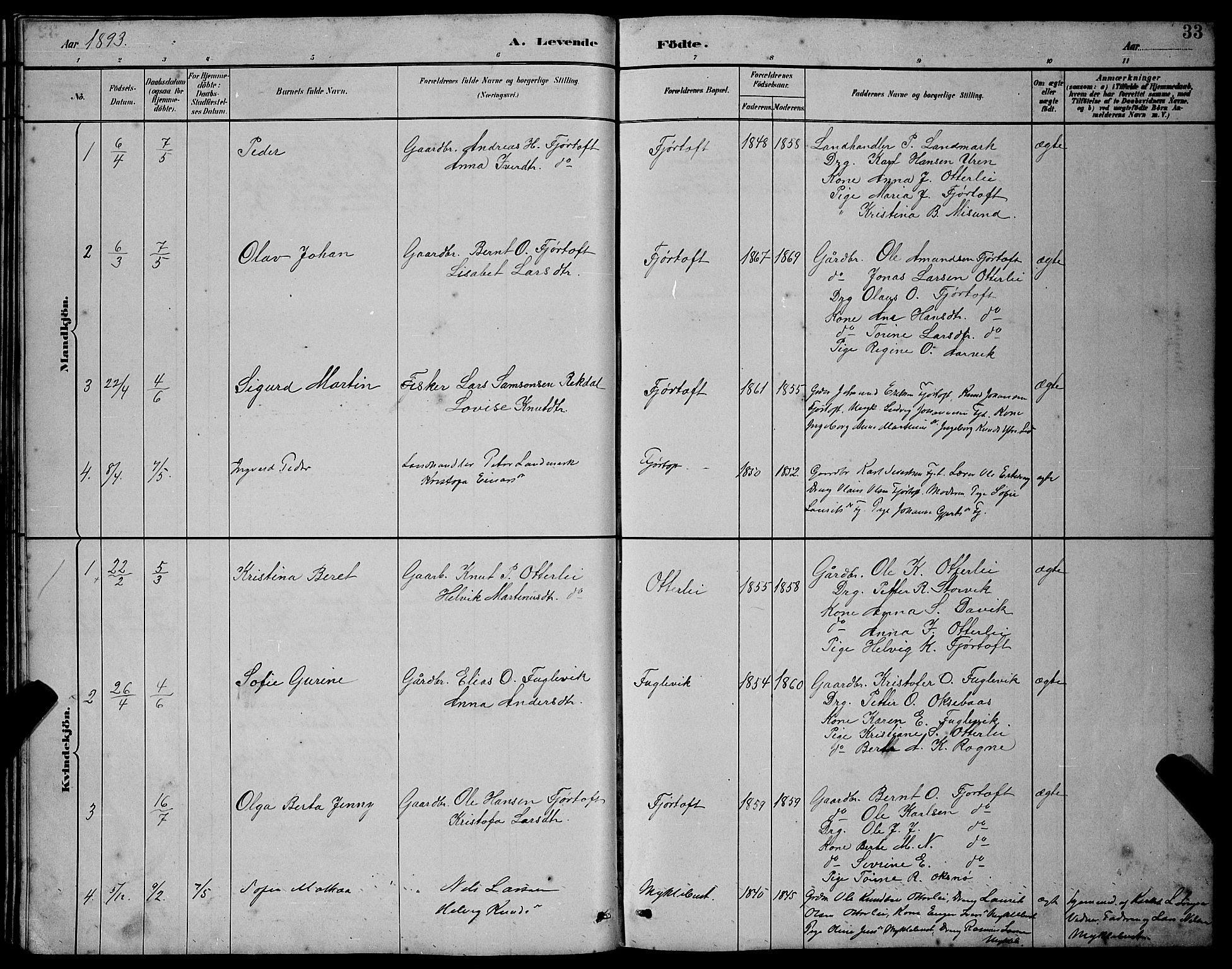 Ministerialprotokoller, klokkerbøker og fødselsregistre - Møre og Romsdal, AV/SAT-A-1454/538/L0523: Parish register (copy) no. 538C01, 1881-1900, p. 33