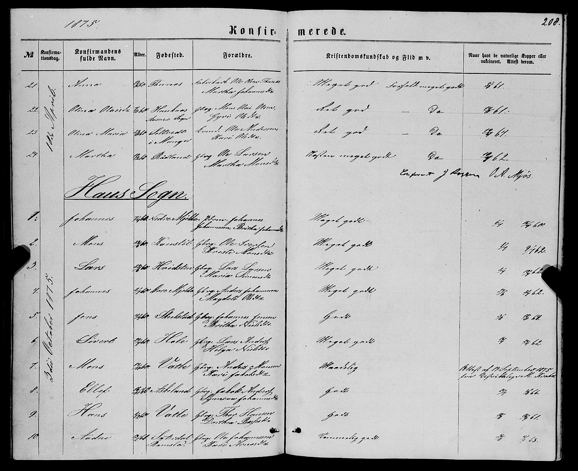 Haus sokneprestembete, SAB/A-75601/H/Haa: Parish register (official) no. A 18, 1871-1877, p. 208