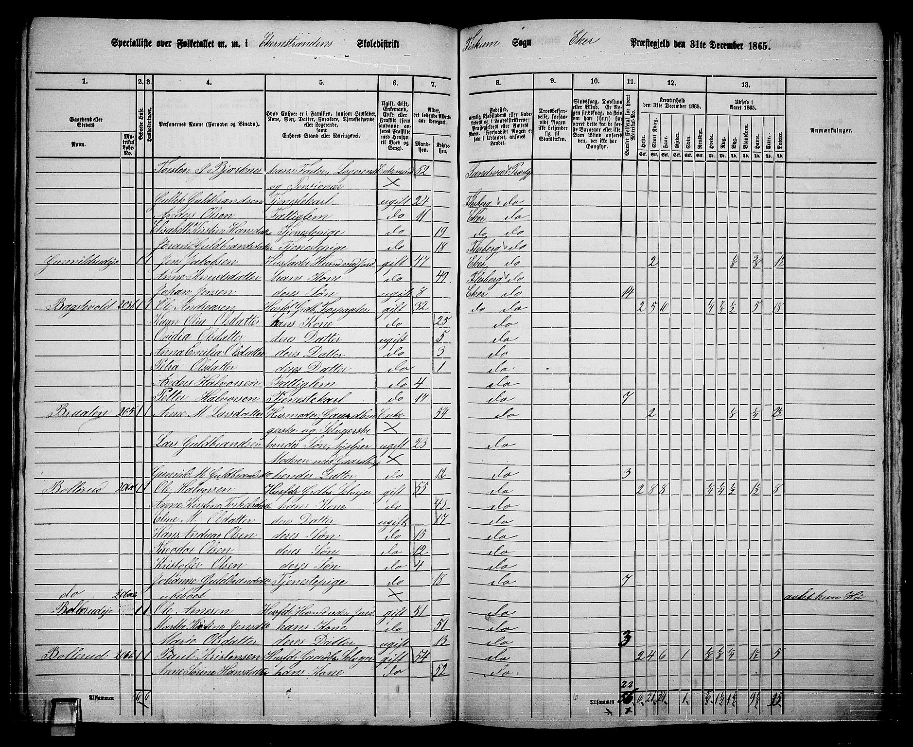 RA, 1865 census for Eiker, 1865, p. 489