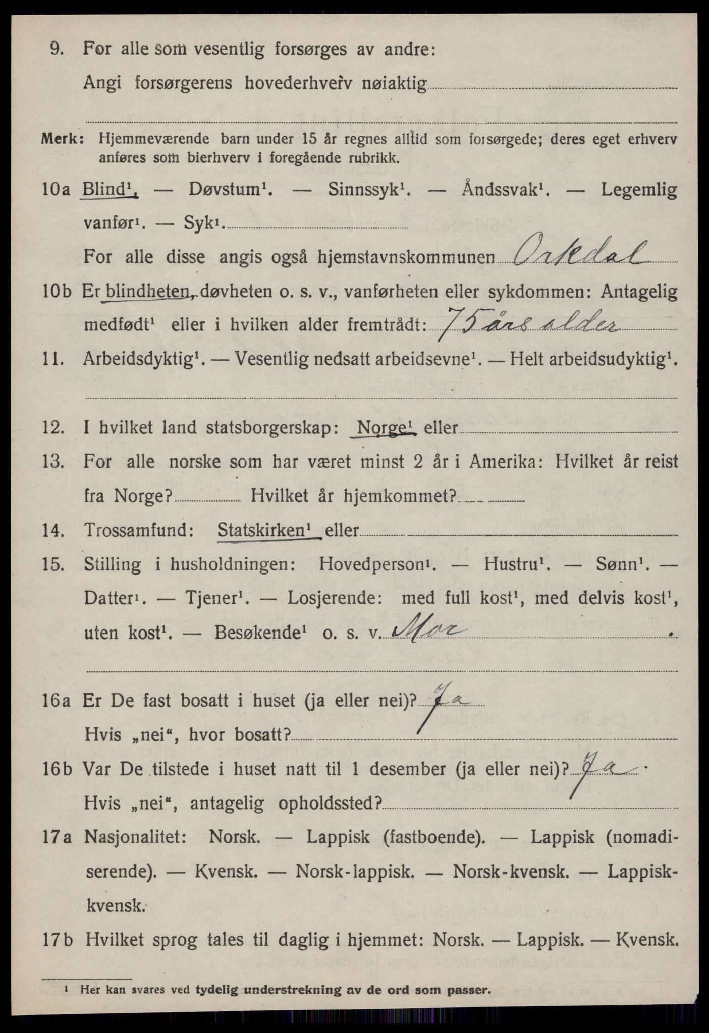 SAT, 1920 census for Orkdal, 1920, p. 5811