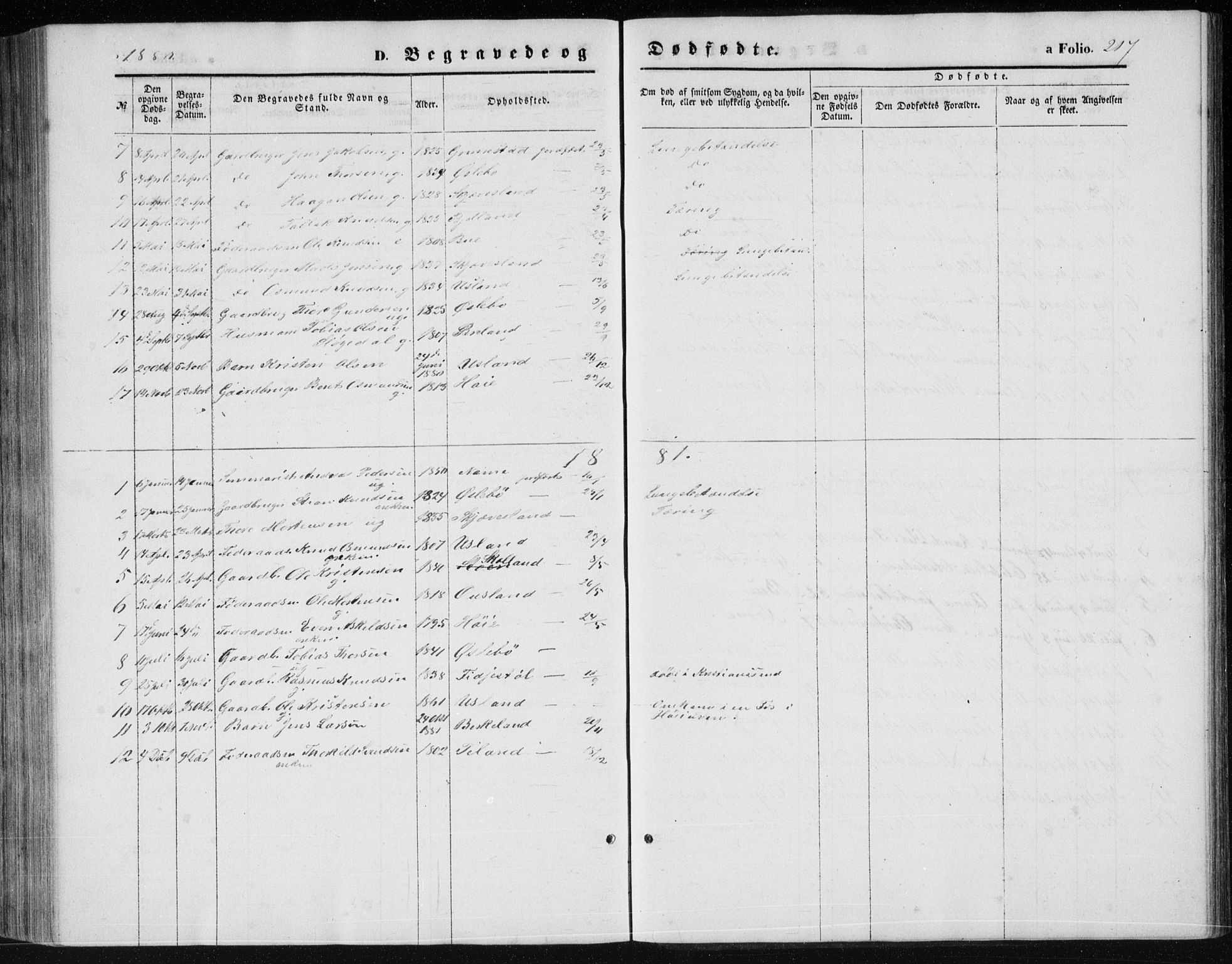 Holum sokneprestkontor, SAK/1111-0022/F/Fb/Fbc/L0002: Parish register (copy) no. B 2, 1860-1882, p. 217