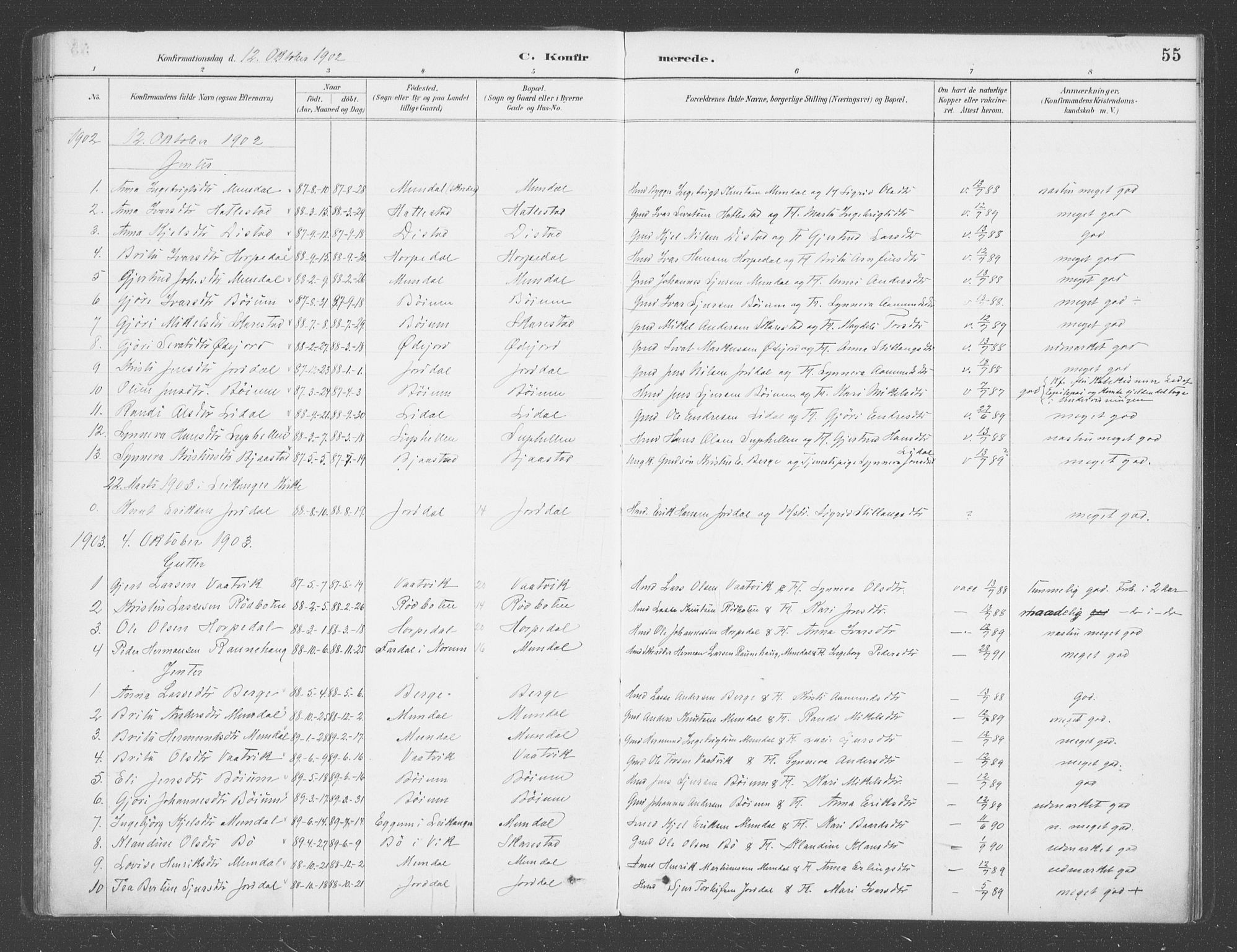 Balestrand sokneprestembete, AV/SAB-A-79601/H/Haa/Haac/L0001: Parish register (official) no. C  1, 1889-1909, p. 55