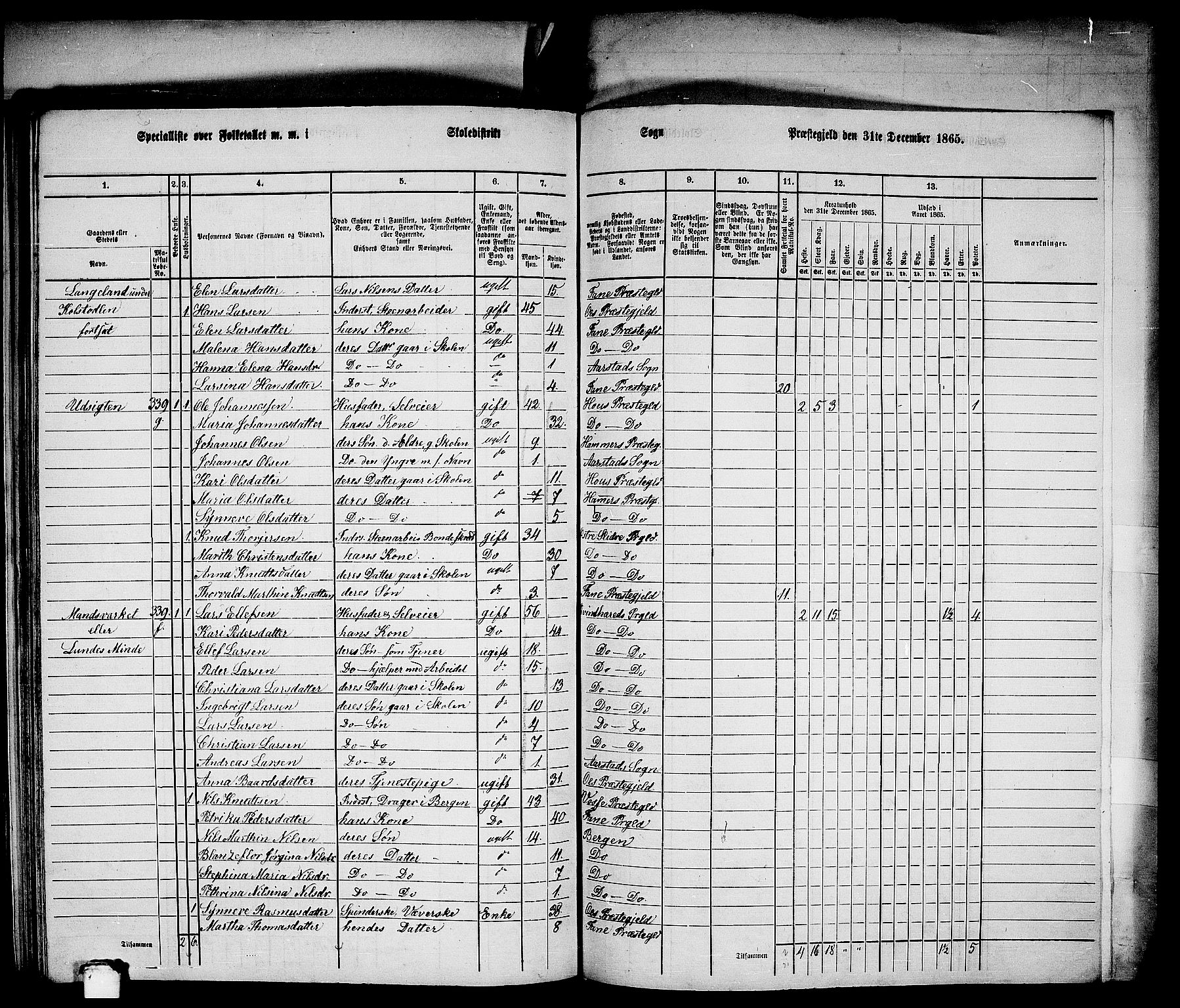 RA, 1865 census for St. Jørgens Hospital/Årstad, 1865, p. 15
