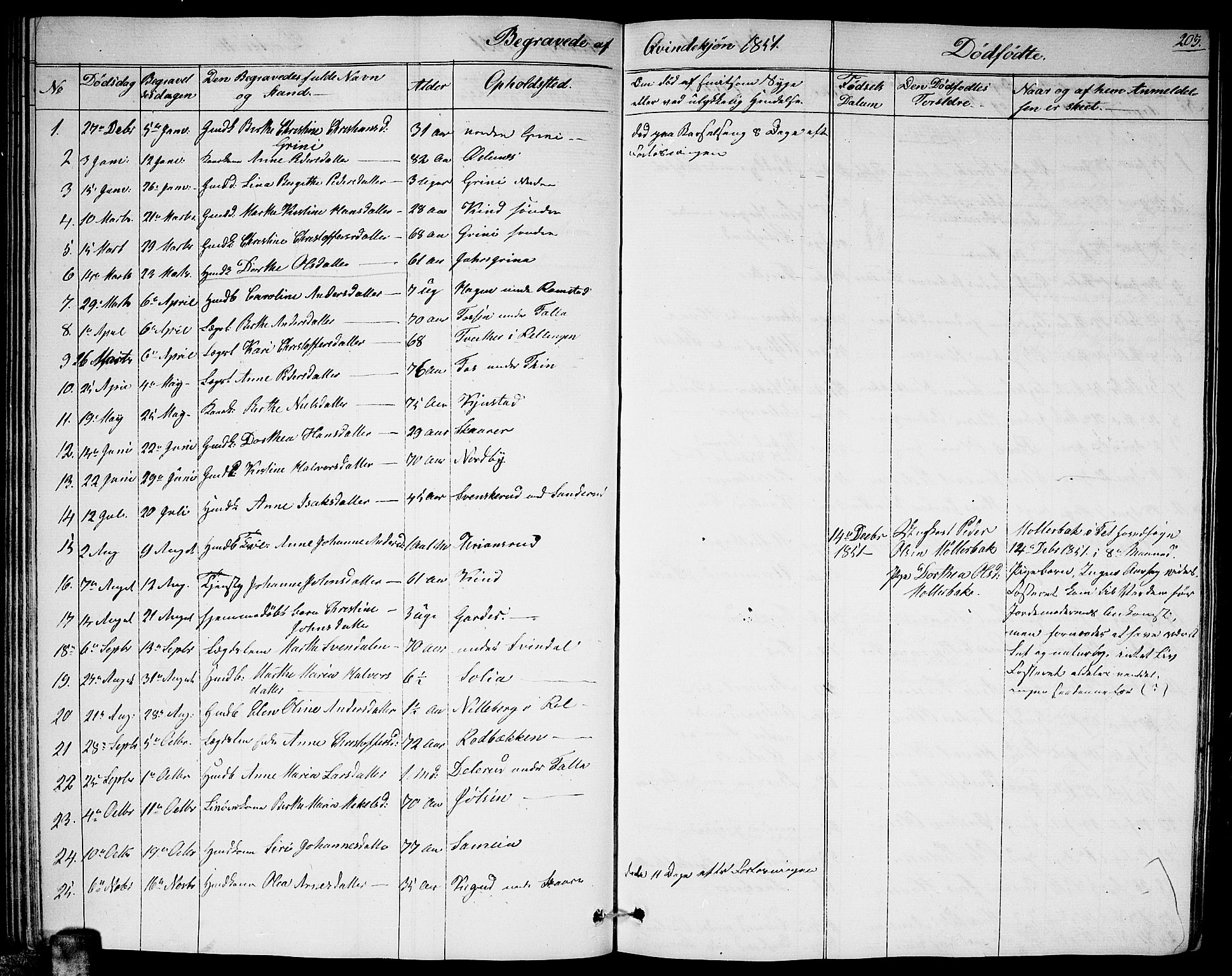 Fet prestekontor Kirkebøker, AV/SAO-A-10370a/G/Ga/L0002: Parish register (copy) no. I 2, 1843-1859, p. 203