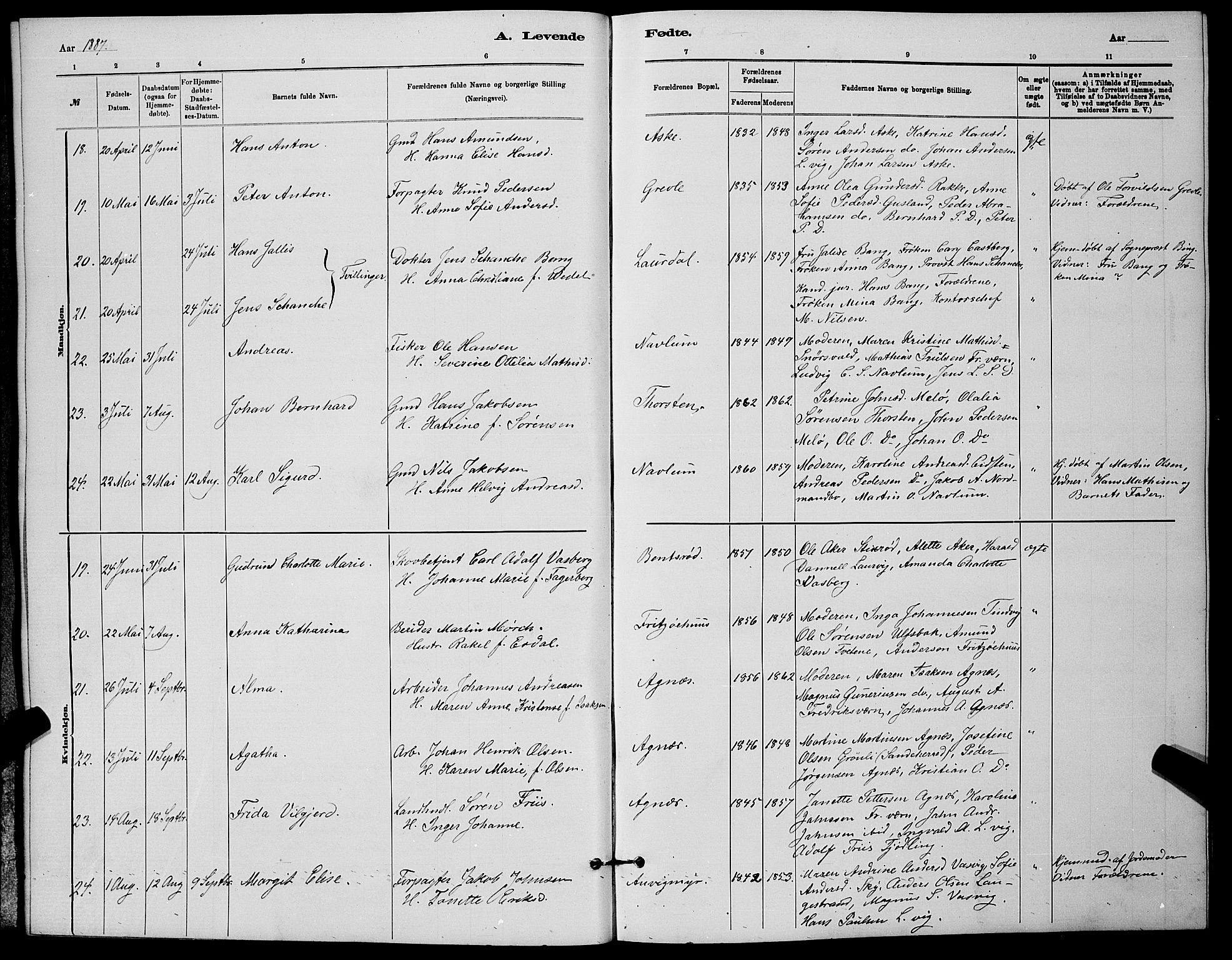 Brunlanes kirkebøker, AV/SAKO-A-342/G/Ga/L0003: Parish register (copy) no. I 3, 1877-1898