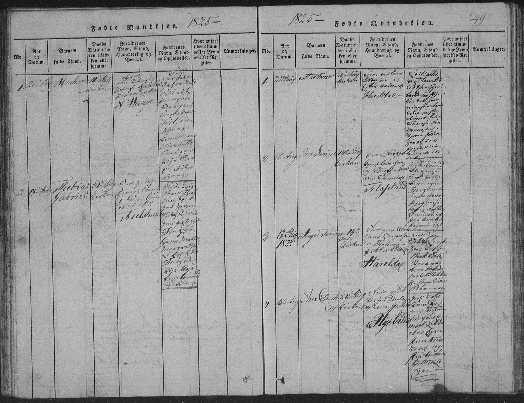 Sør-Audnedal sokneprestkontor, AV/SAK-1111-0039/F/Fb/Fba/L0001: Parish register (copy) no. B 1, 1815-1850, p. 49