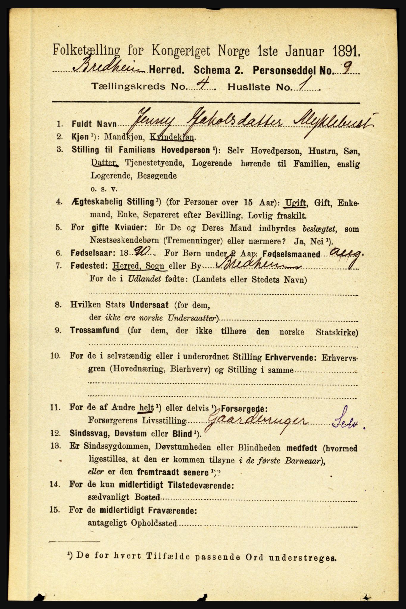 RA, 1891 census for 1446 Breim, 1891, p. 1310