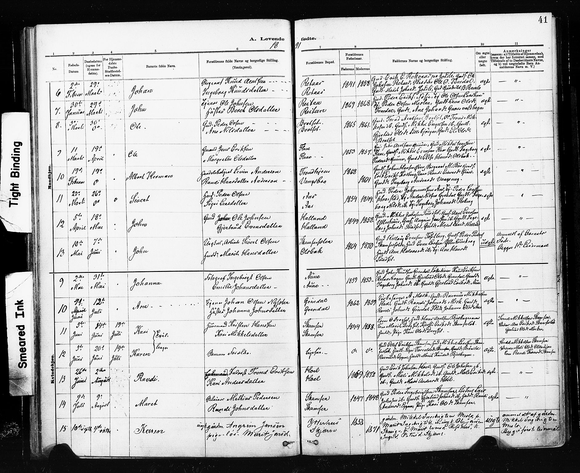 Ministerialprotokoller, klokkerbøker og fødselsregistre - Sør-Trøndelag, SAT/A-1456/674/L0871: Parish register (official) no. 674A03, 1880-1896, p. 41
