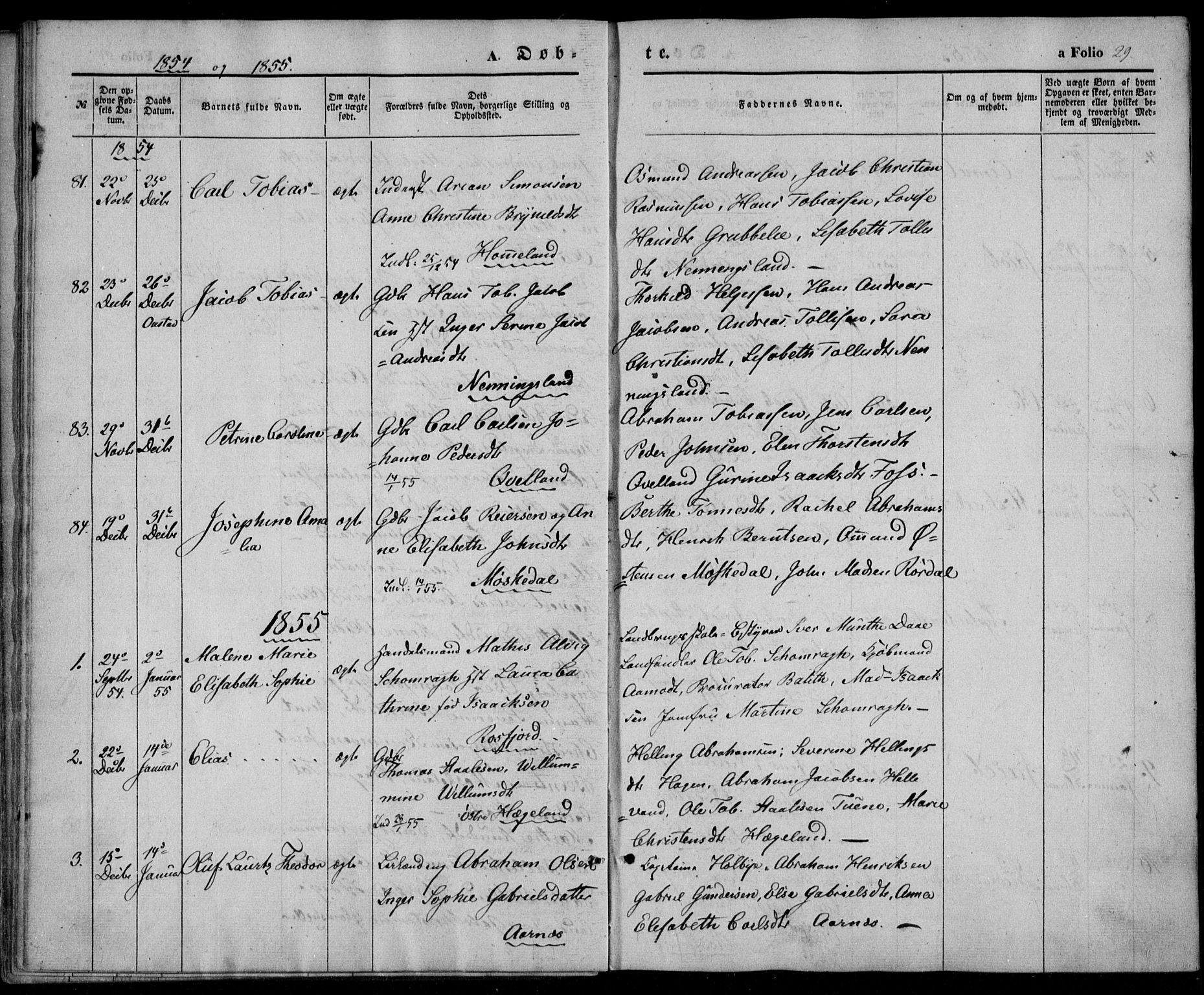 Lyngdal sokneprestkontor, SAK/1111-0029/F/Fa/Fac/L0009: Parish register (official) no. A 9, 1852-1864, p. 29