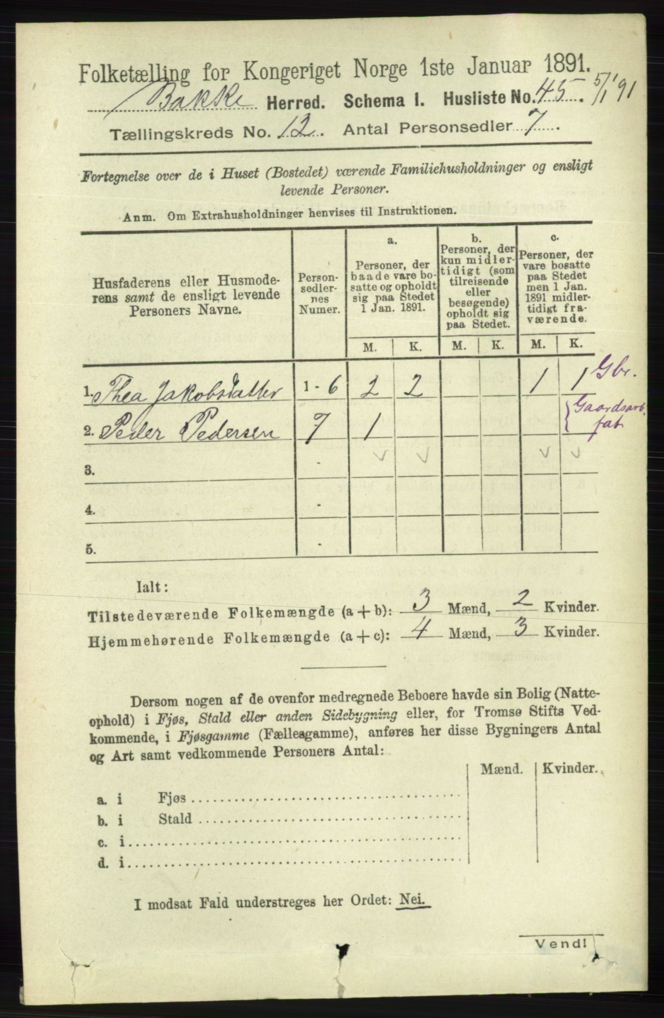 RA, 1891 census for 1045 Bakke, 1891, p. 2425