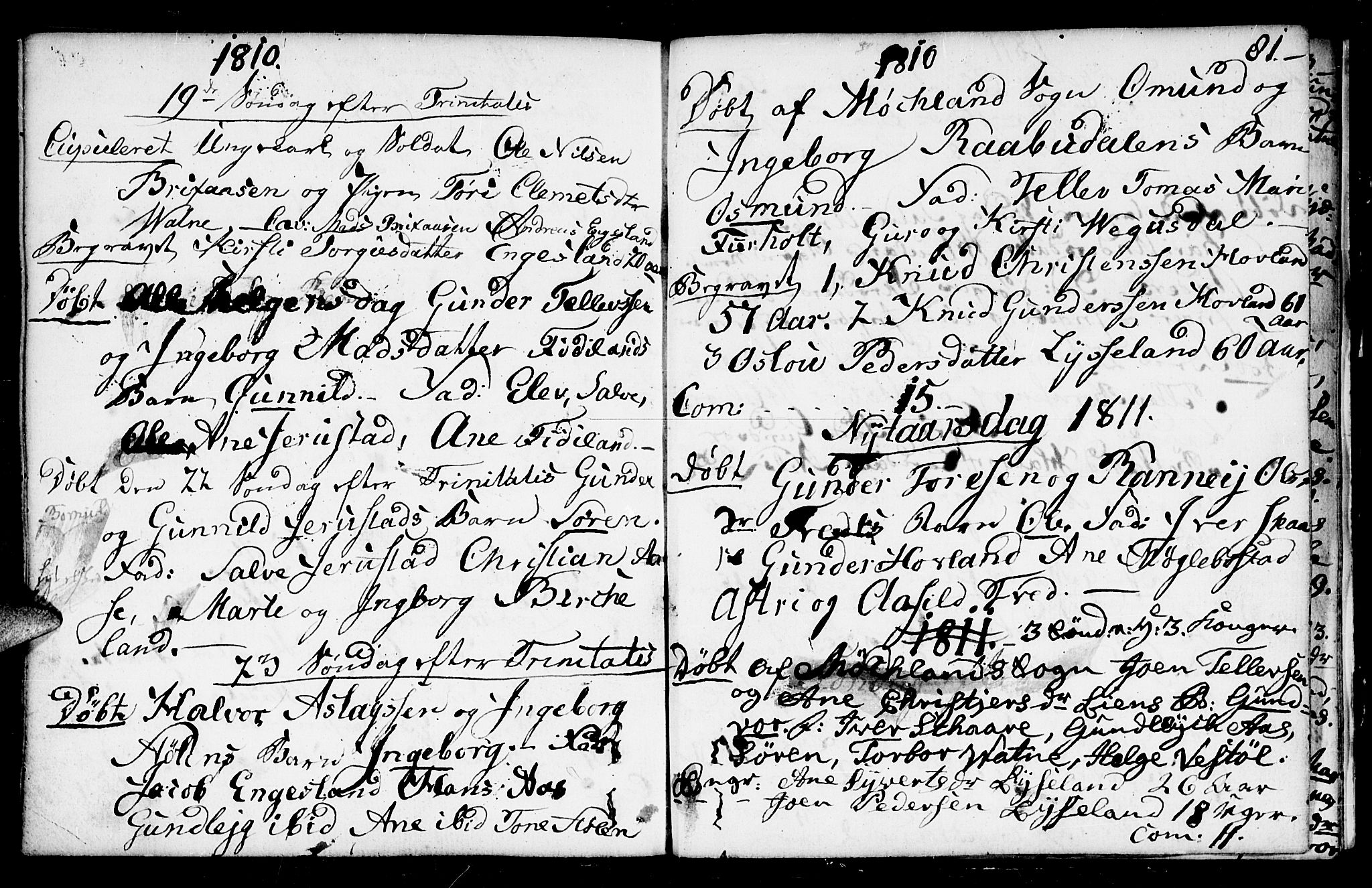 Herefoss sokneprestkontor, AV/SAK-1111-0019/F/Fa/Fab/L0002: Parish register (official) no. A 2, 1780-1816, p. 81