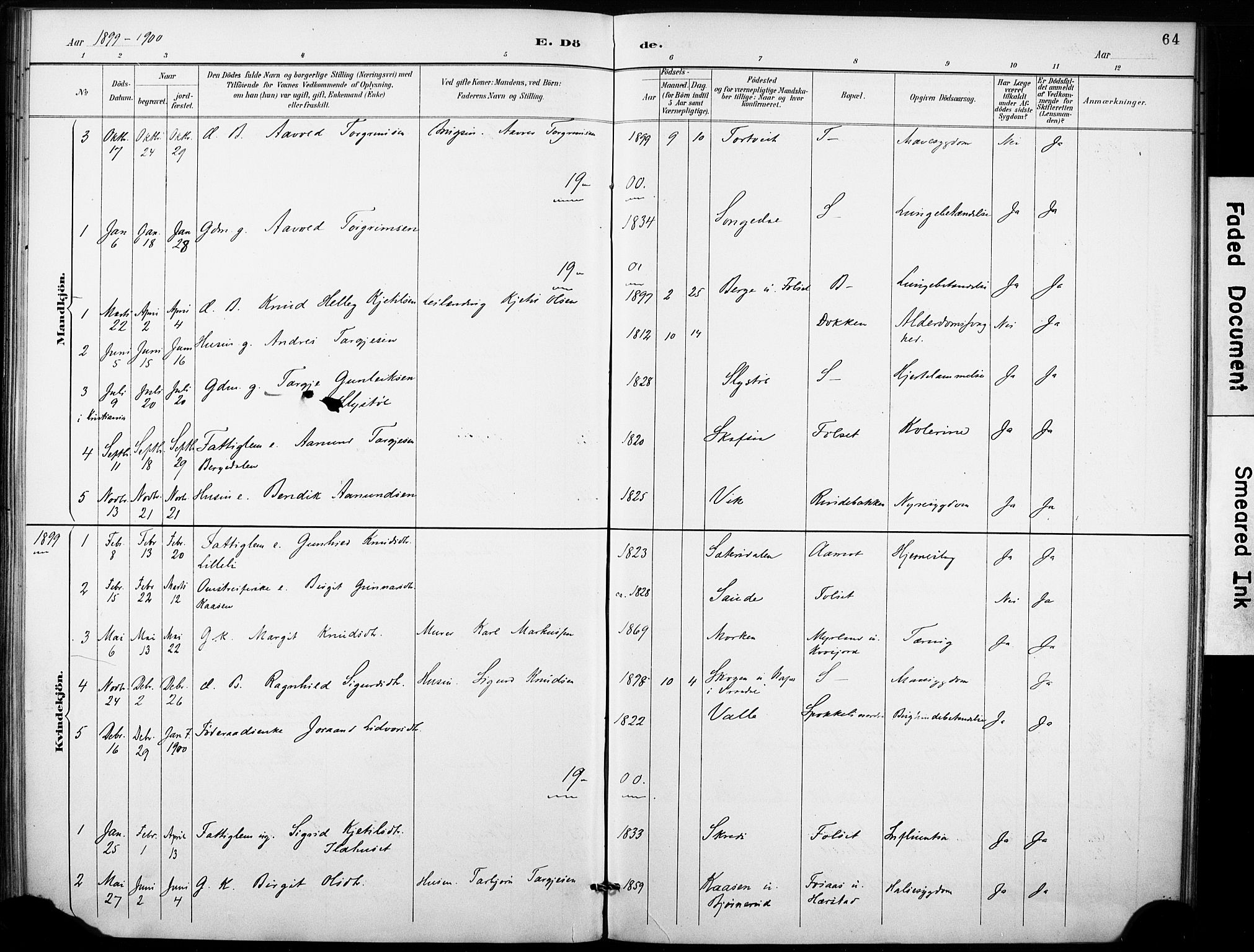 Fyresdal kirkebøker, SAKO/A-263/F/Fb/L0003: Parish register (official) no. II 3, 1887-1903, p. 64