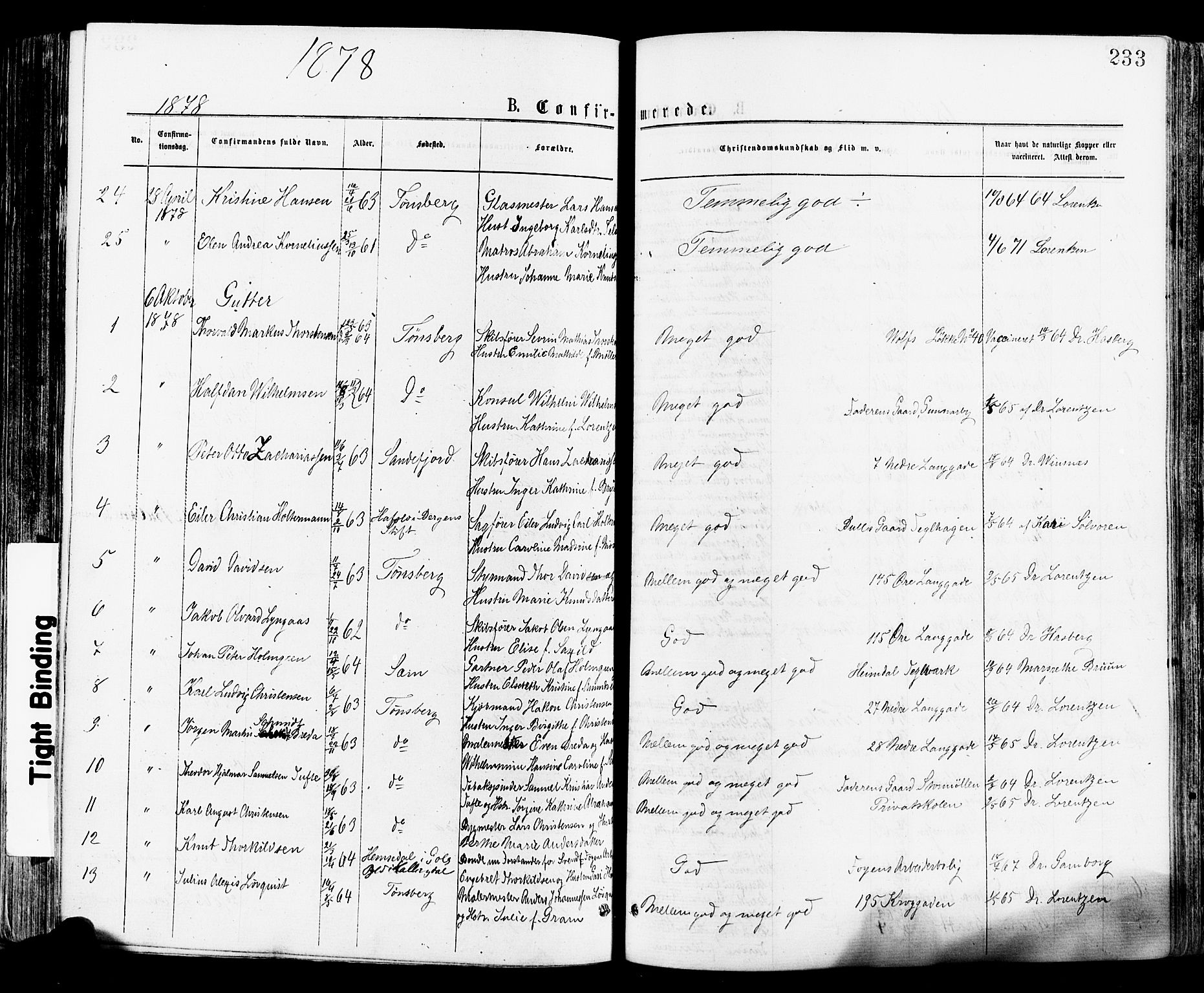 Tønsberg kirkebøker, AV/SAKO-A-330/F/Fa/L0010: Parish register (official) no. I 10, 1874-1880, p. 233