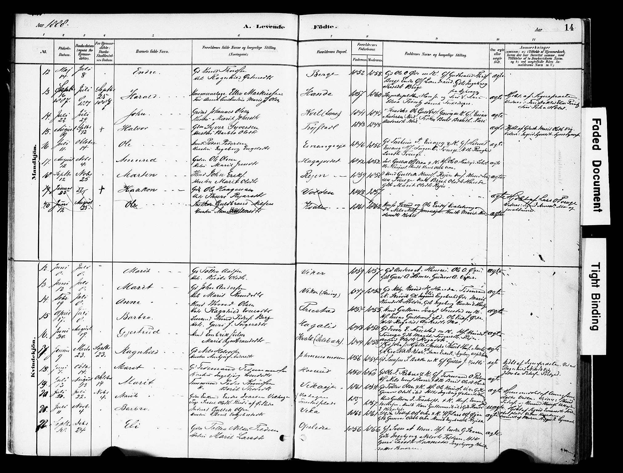 Vestre Slidre prestekontor, AV/SAH-PREST-136/H/Ha/Haa/L0004: Parish register (official) no. 4, 1881-1911, p. 14