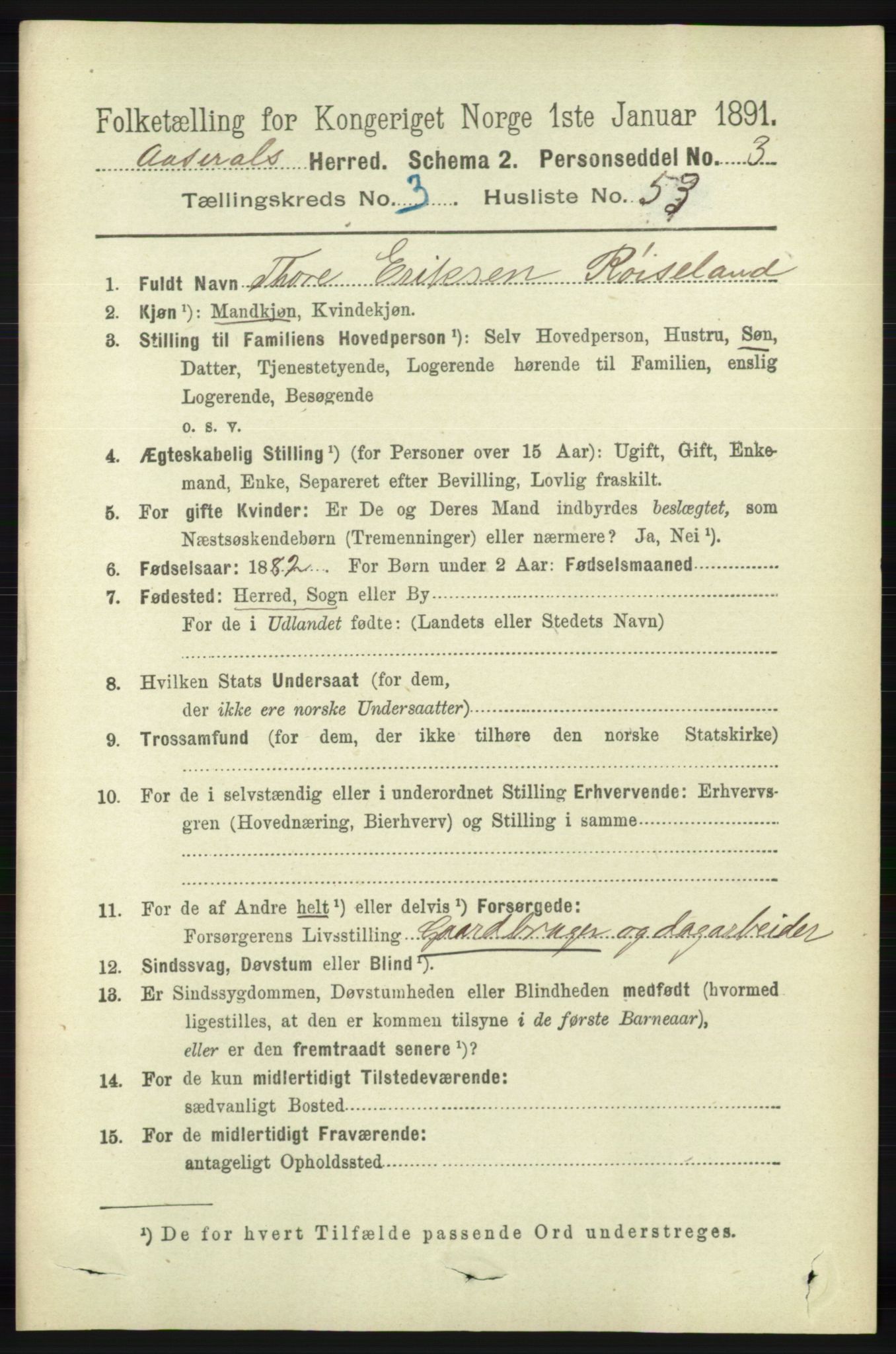 RA, 1891 census for 1026 Åseral, 1891, p. 1113