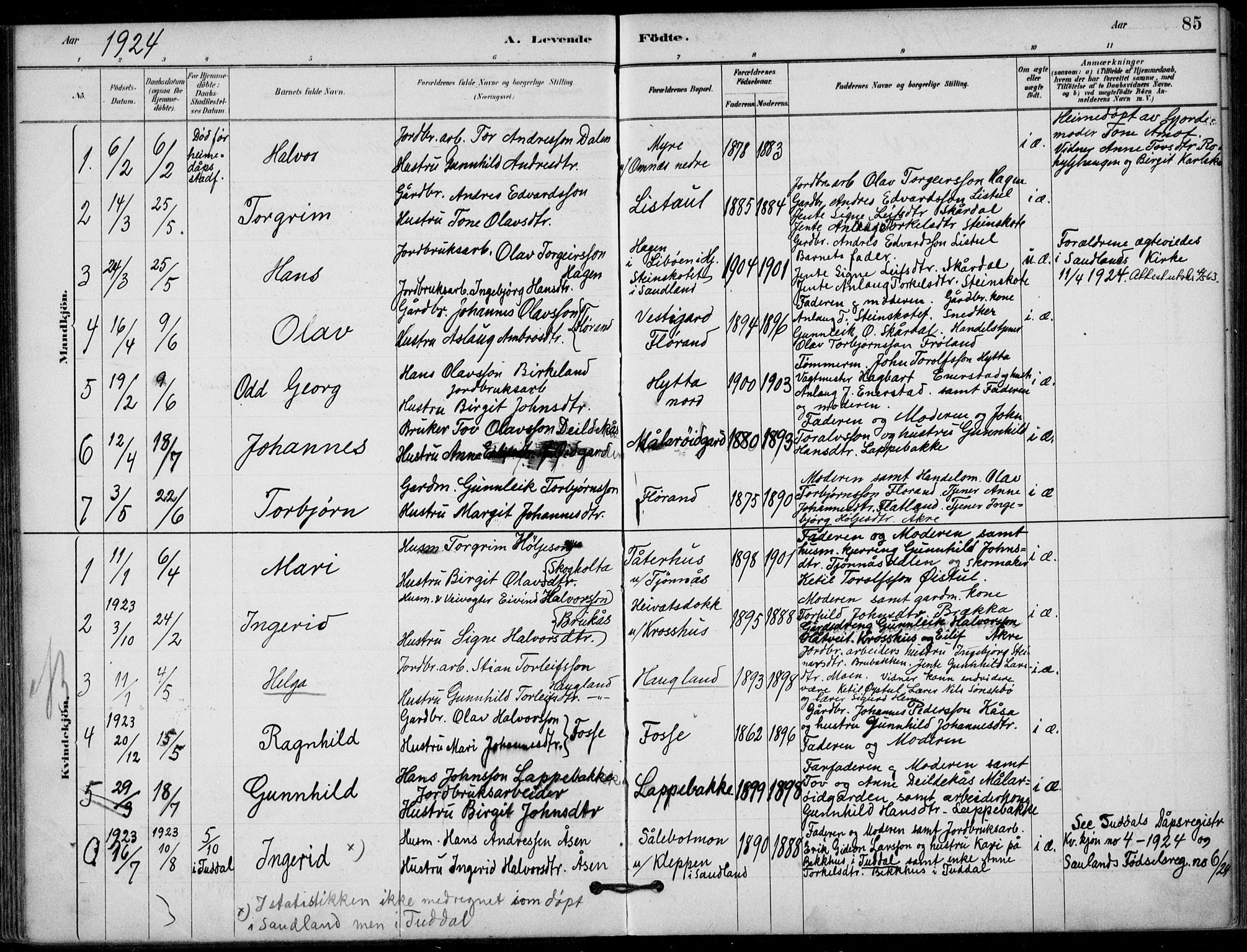 Hjartdal kirkebøker, SAKO/A-270/F/Fb/L0002: Parish register (official) no. II 2, 1880-1932, p. 85