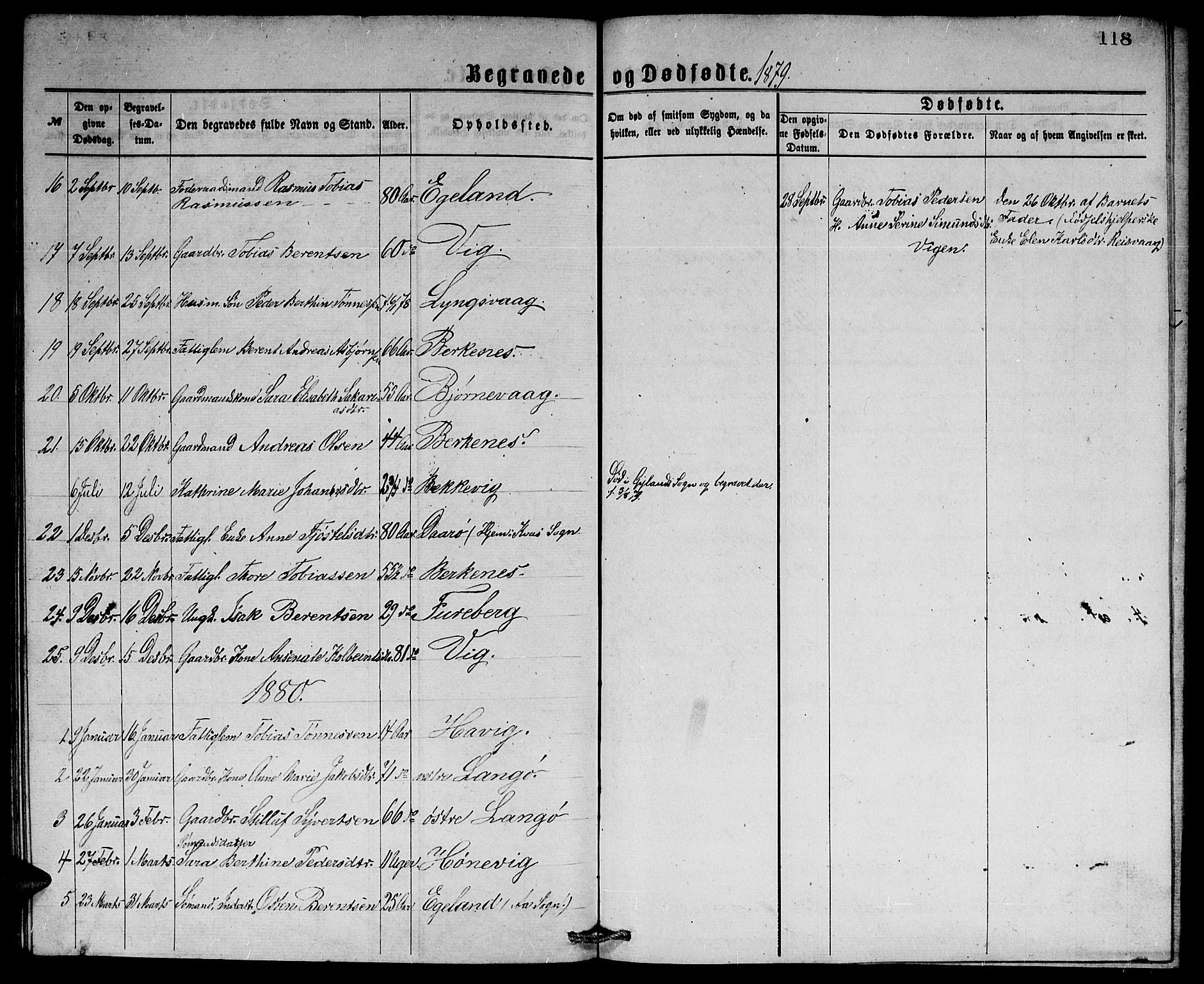 Herad sokneprestkontor, AV/SAK-1111-0018/F/Fb/Fbb/L0003: Parish register (copy) no. B 3, 1872-1889, p. 118