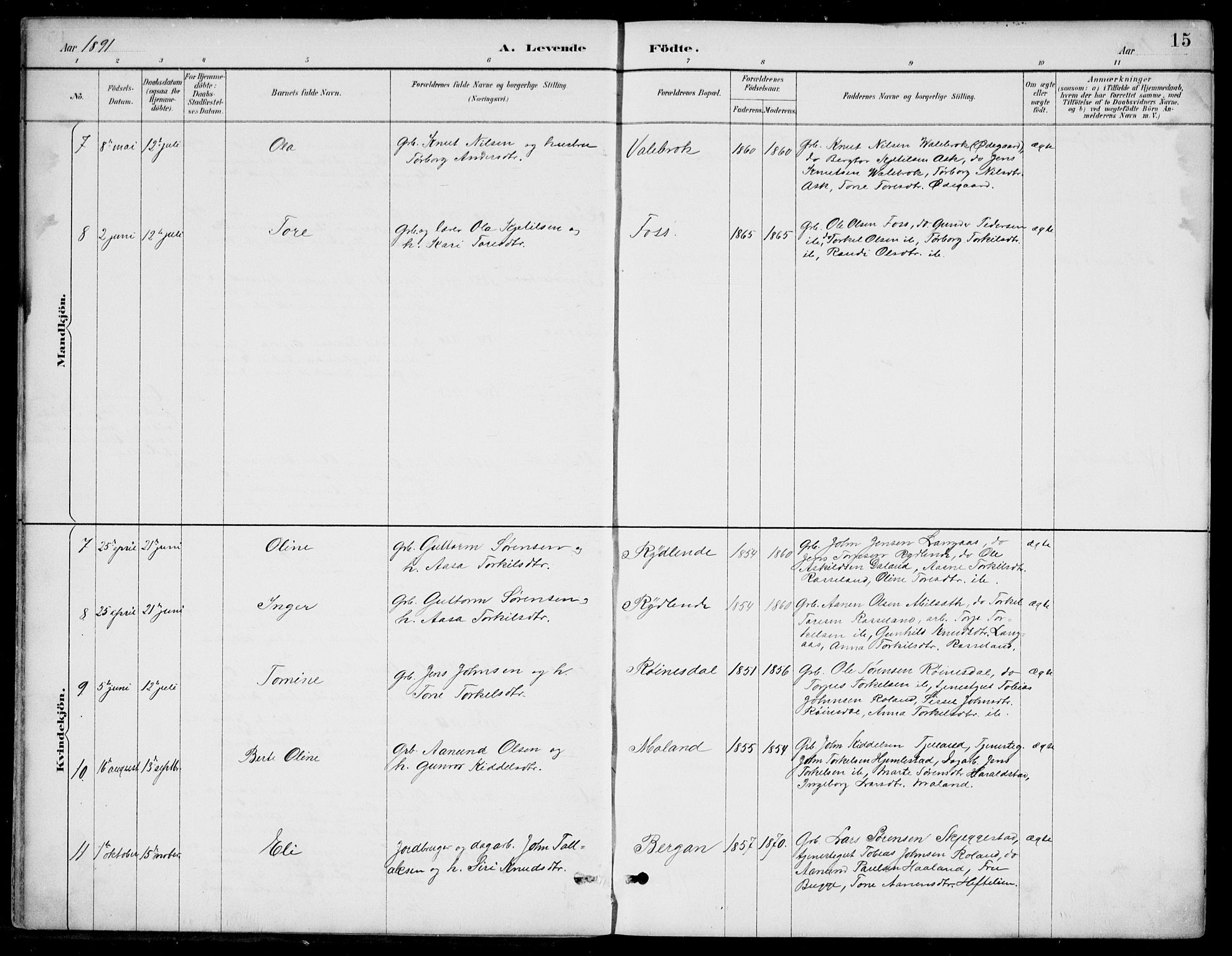 Bjelland sokneprestkontor, SAK/1111-0005/F/Fb/Fba/L0005: Parish register (copy) no. B 5, 1887-1923, p. 15