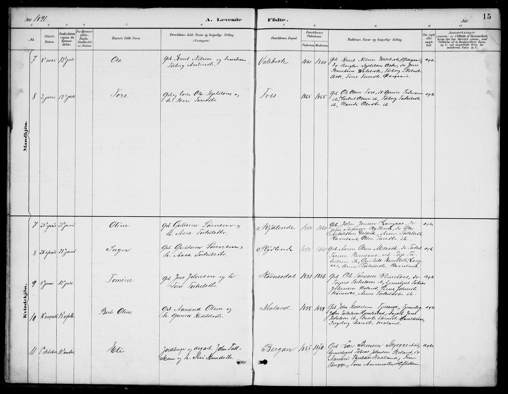 Bjelland sokneprestkontor, AV/SAK-1111-0005/F/Fb/Fba/L0005: Parish register (copy) no. B 5, 1887-1923, p. 15