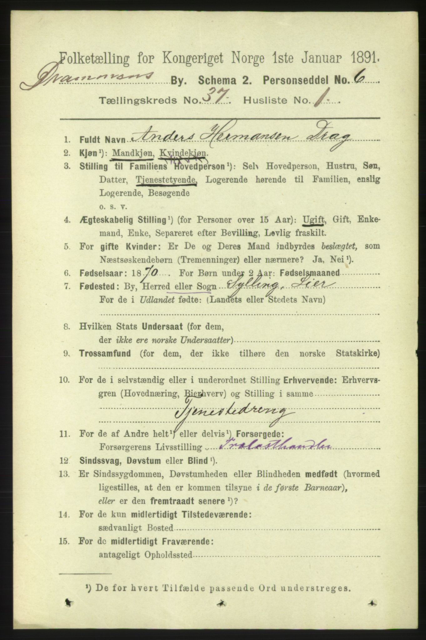 RA, 1891 census for 0602 Drammen, 1891, p. 22805