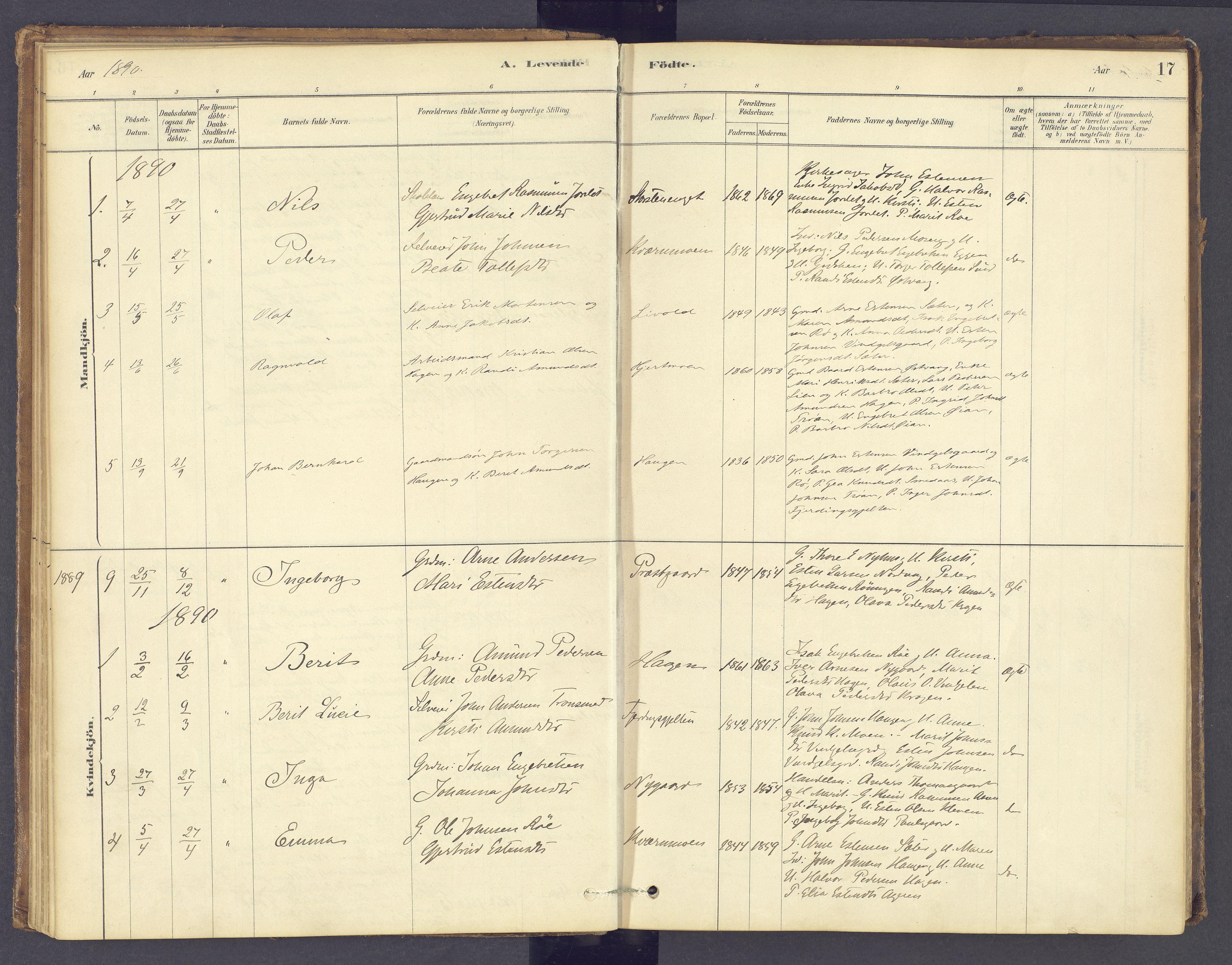 Tolga prestekontor, SAH/PREST-062/K/L0012: Parish register (official) no. 12, 1877-1925, p. 17