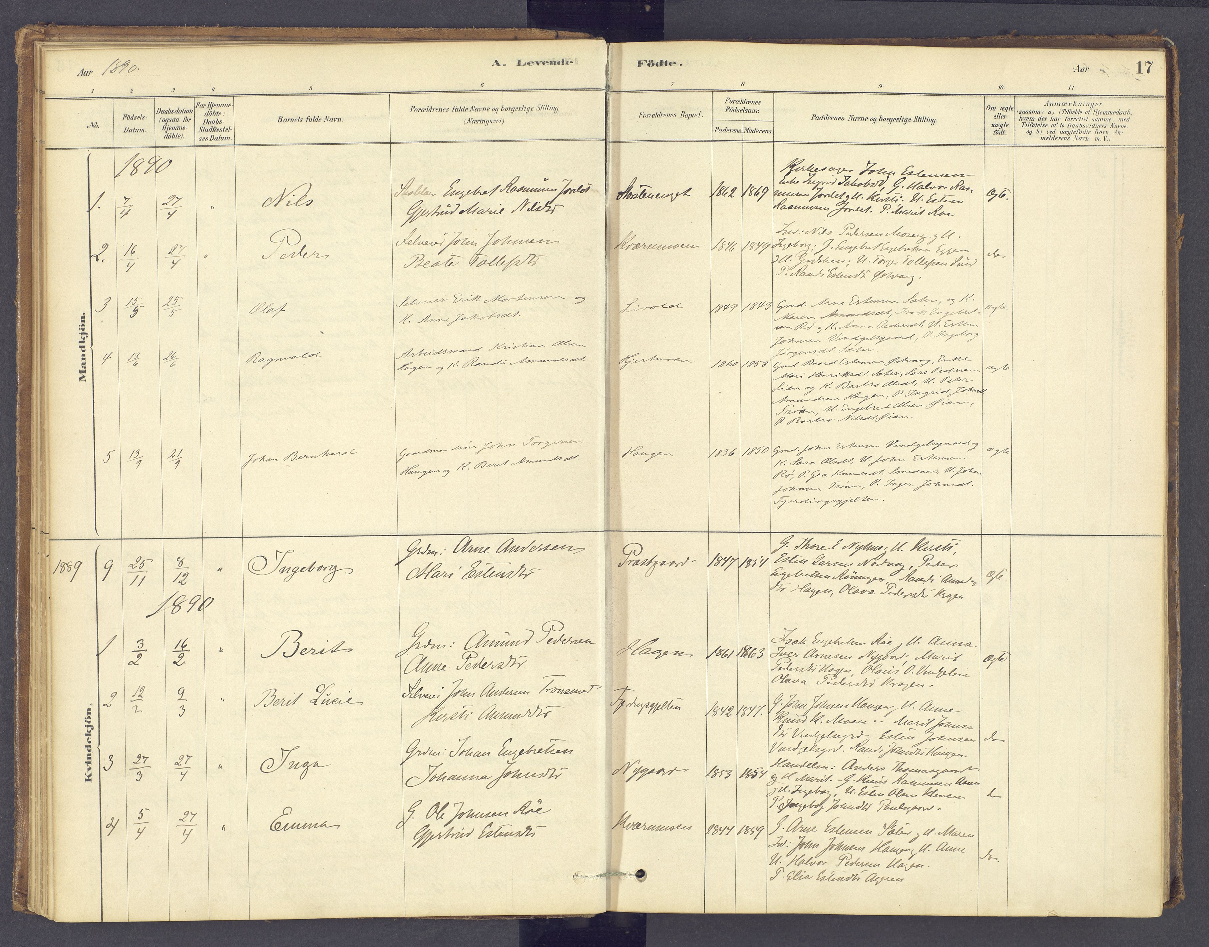 Tolga prestekontor, AV/SAH-PREST-062/K/L0012: Parish register (official) no. 12, 1877-1925, p. 17