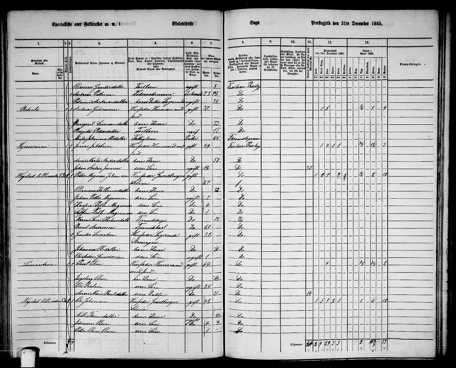 RA, 1865 census for Frosta, 1865, p. 120