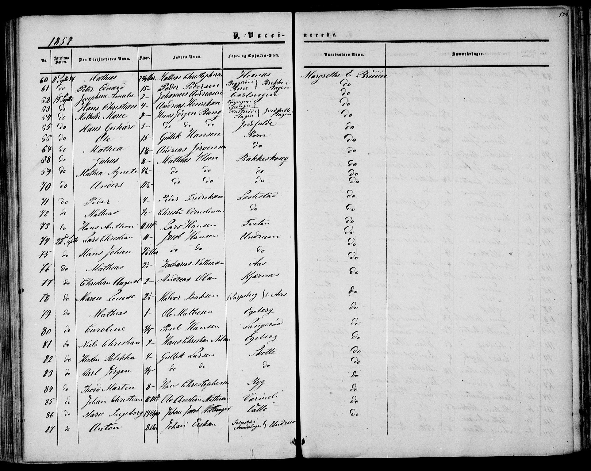 Sem kirkebøker, AV/SAKO-A-5/F/Fa/L0007: Parish register (official) no. I 7, 1856-1865, p. 539